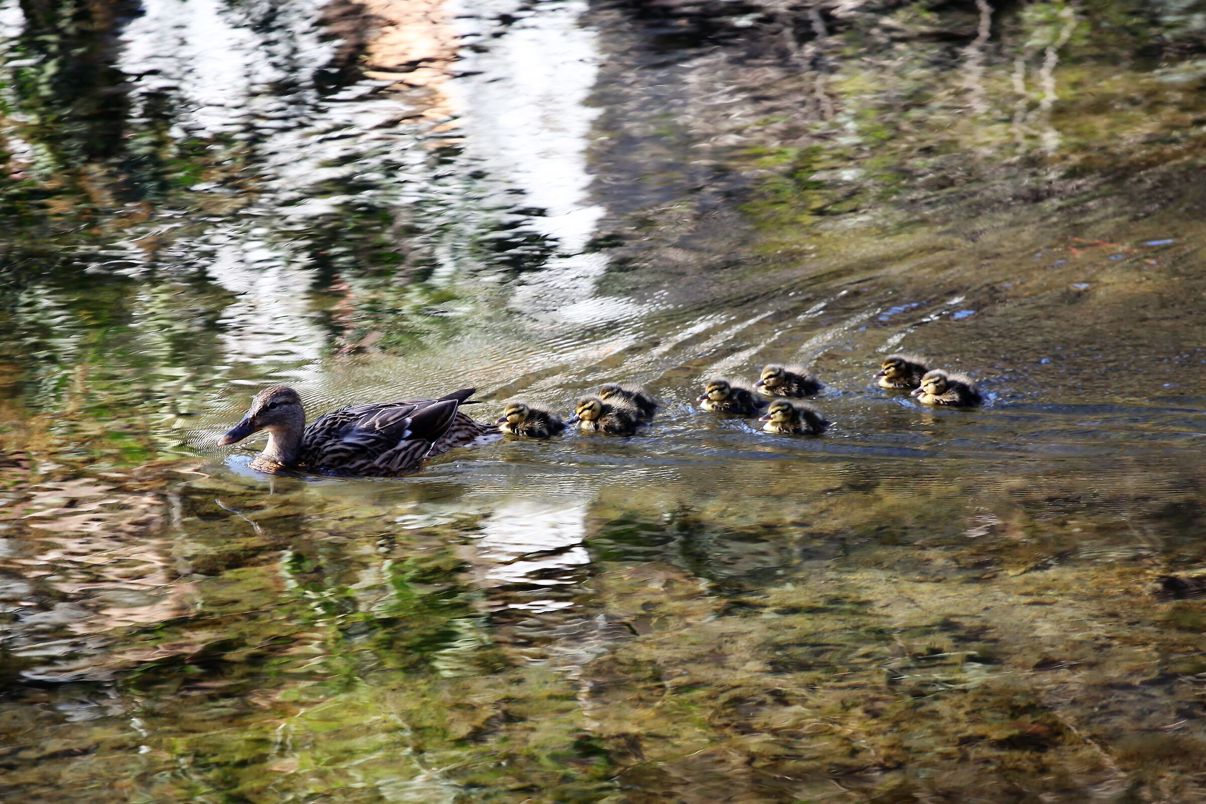 Come on kids, it's time to go to school!