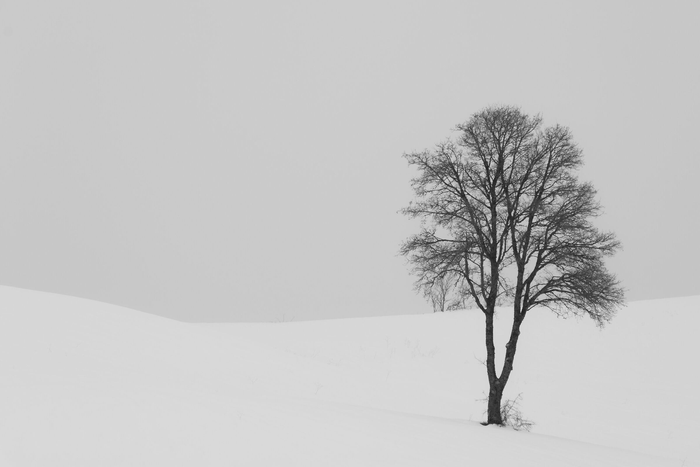 Untitled Photo