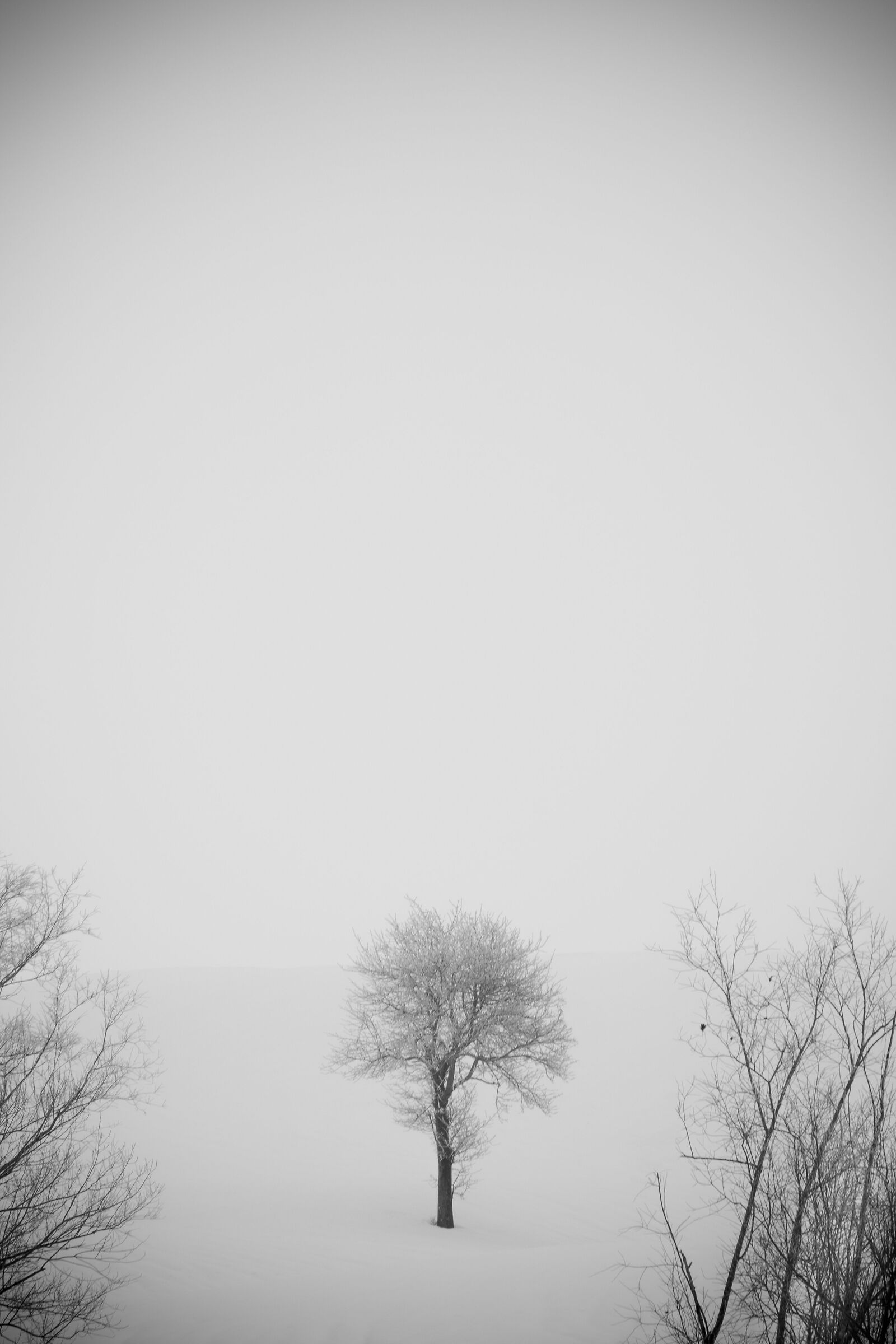 Untitled Photo