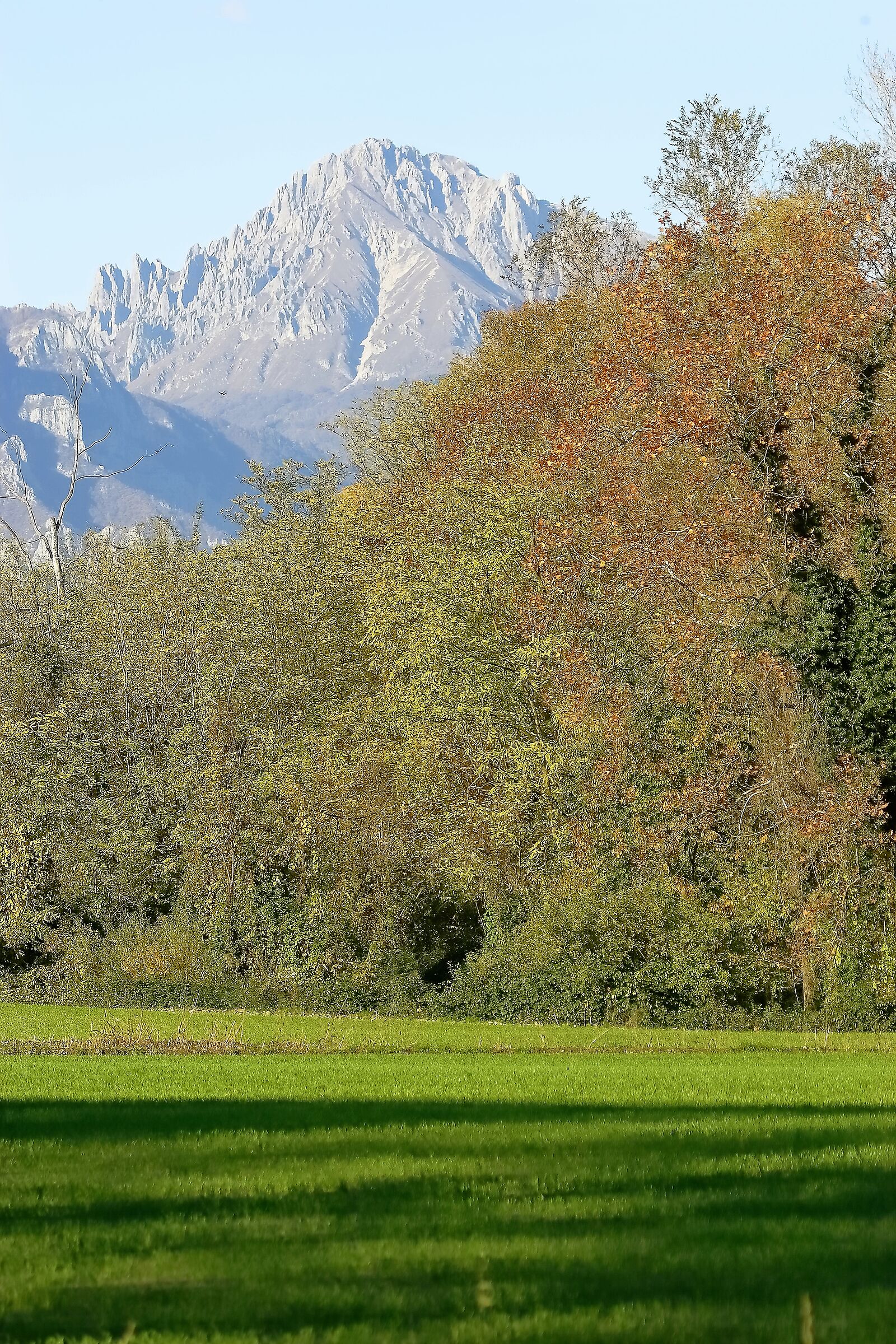 La Grigna 20 novembre 2022