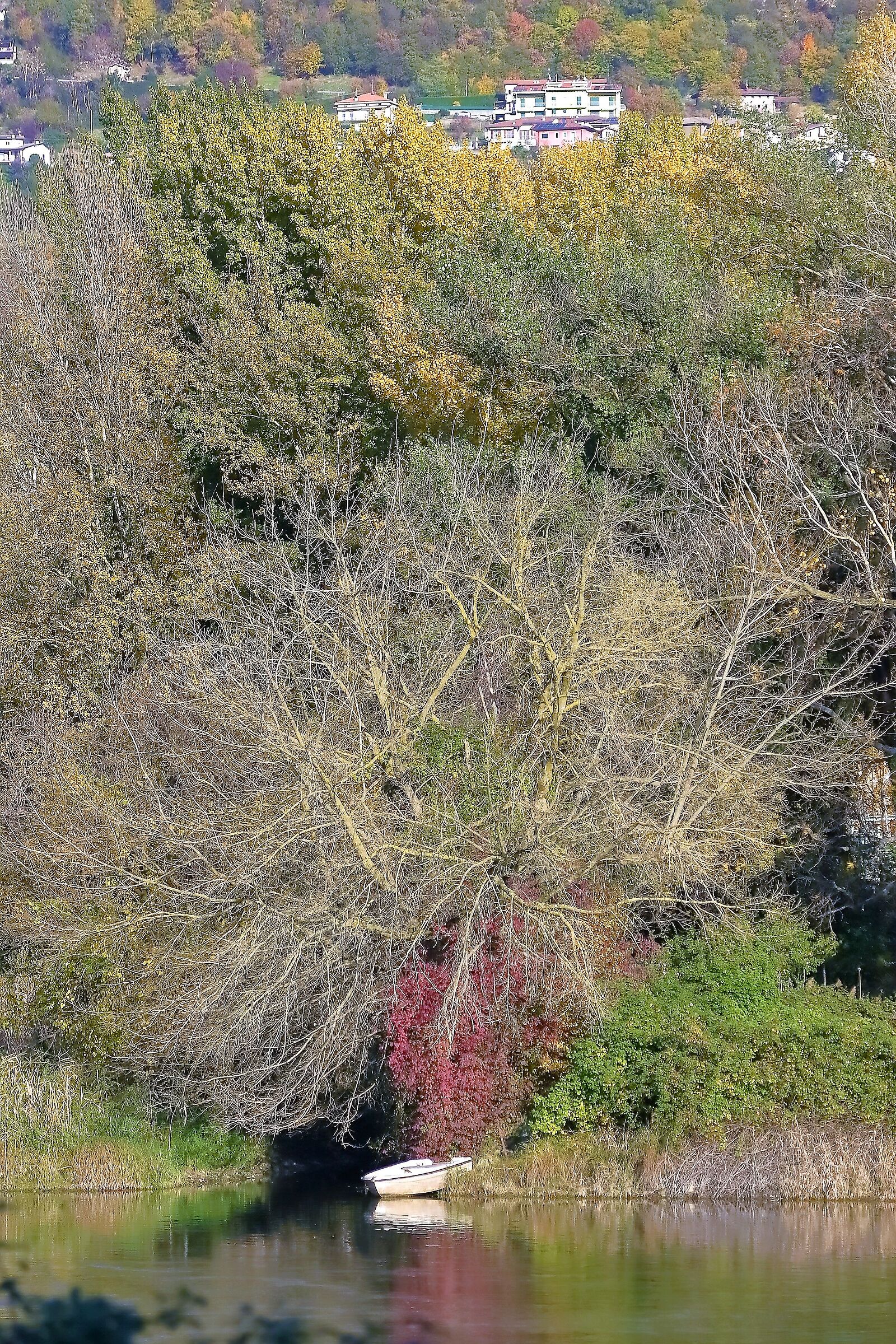 Barca 20 novembre 2022