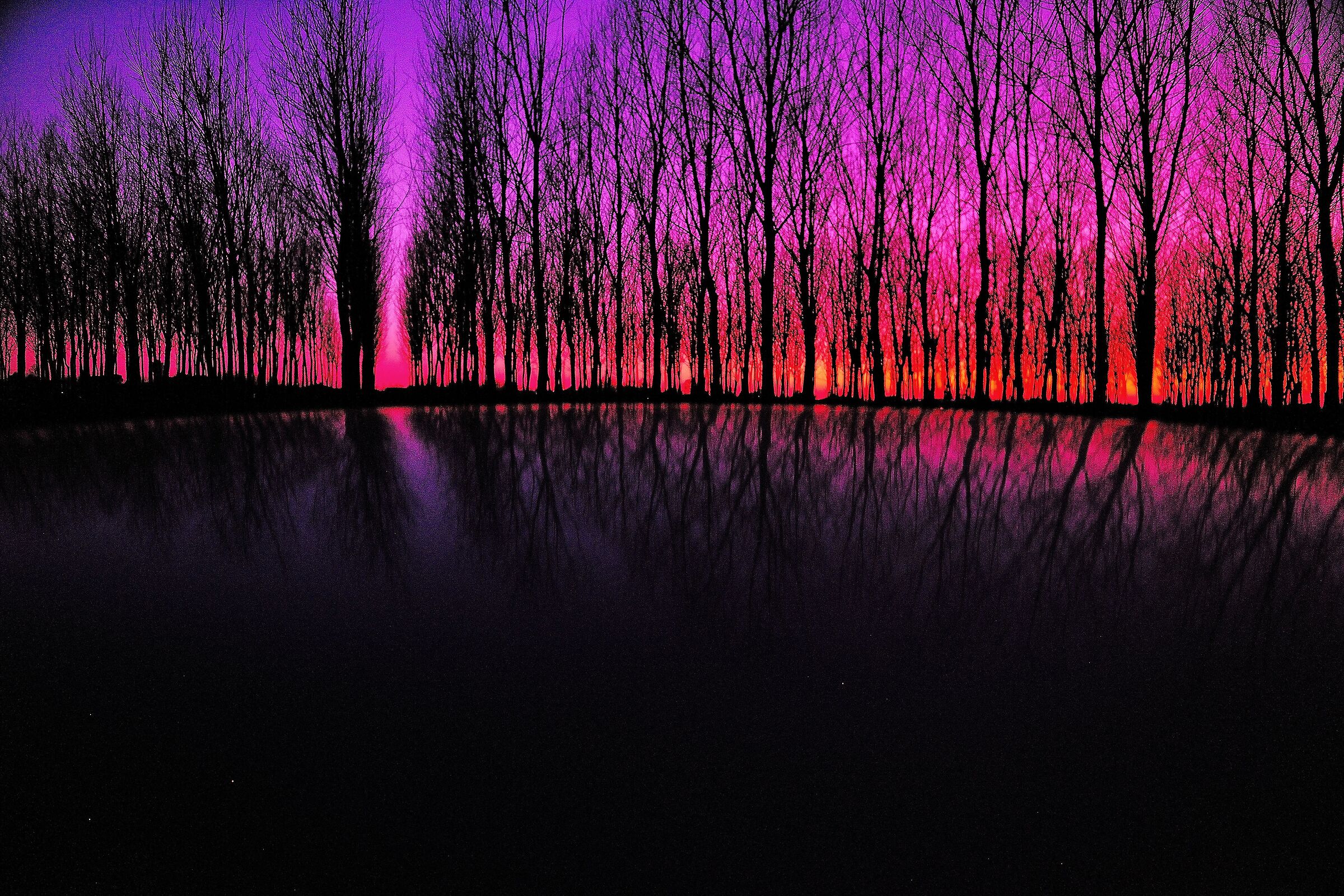 evening reflections