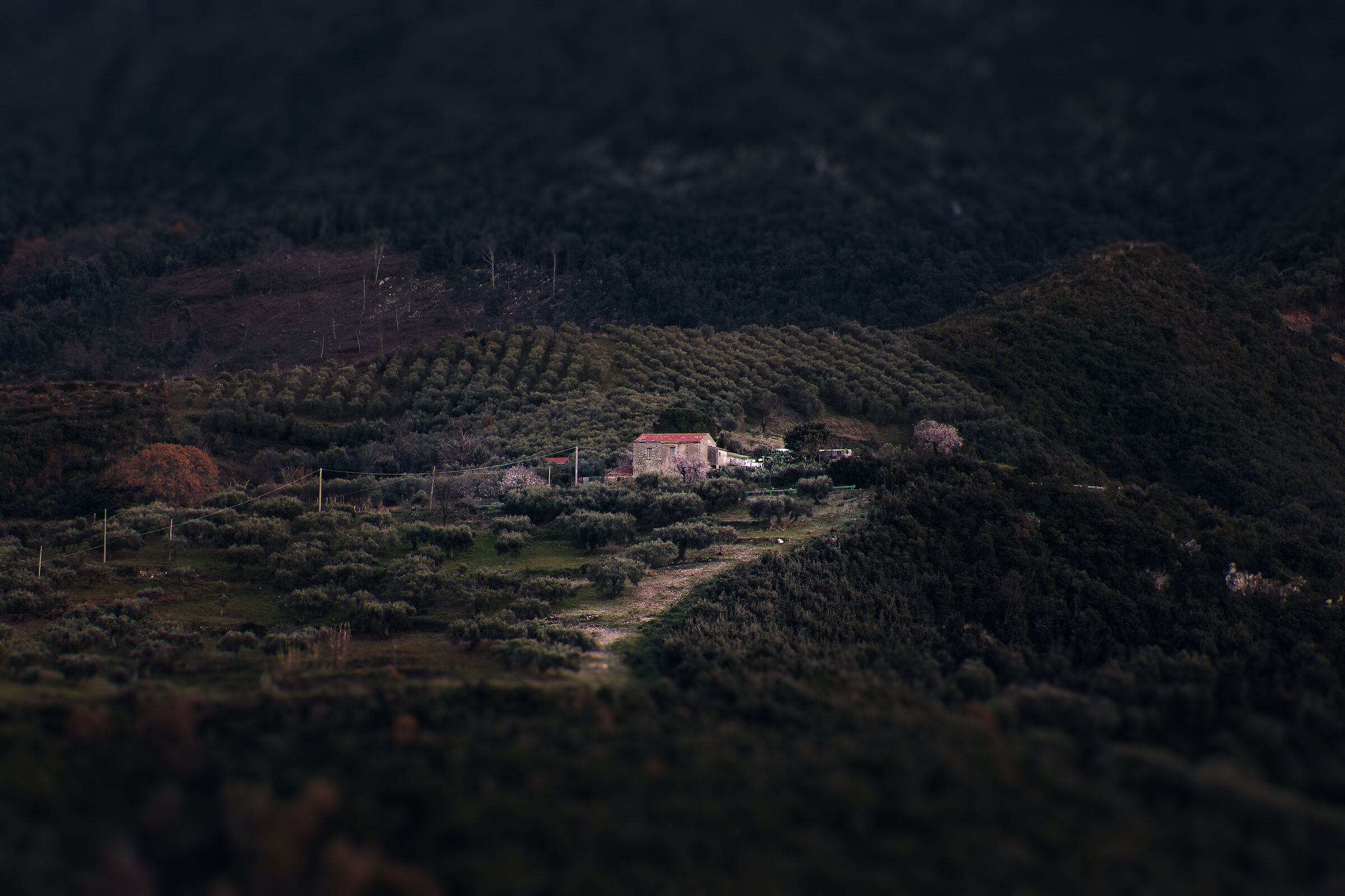 Untitled Photo