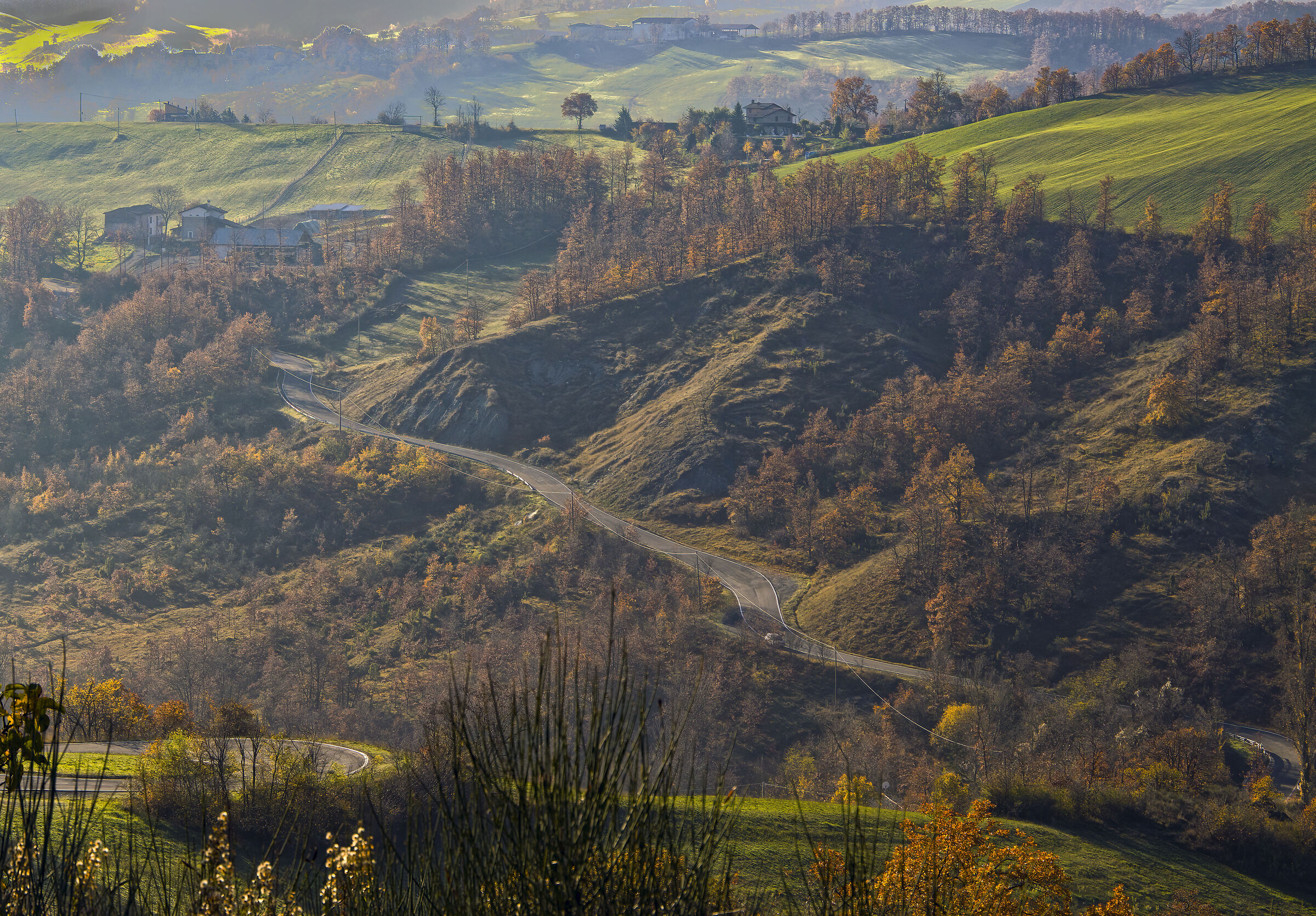 strada collinare