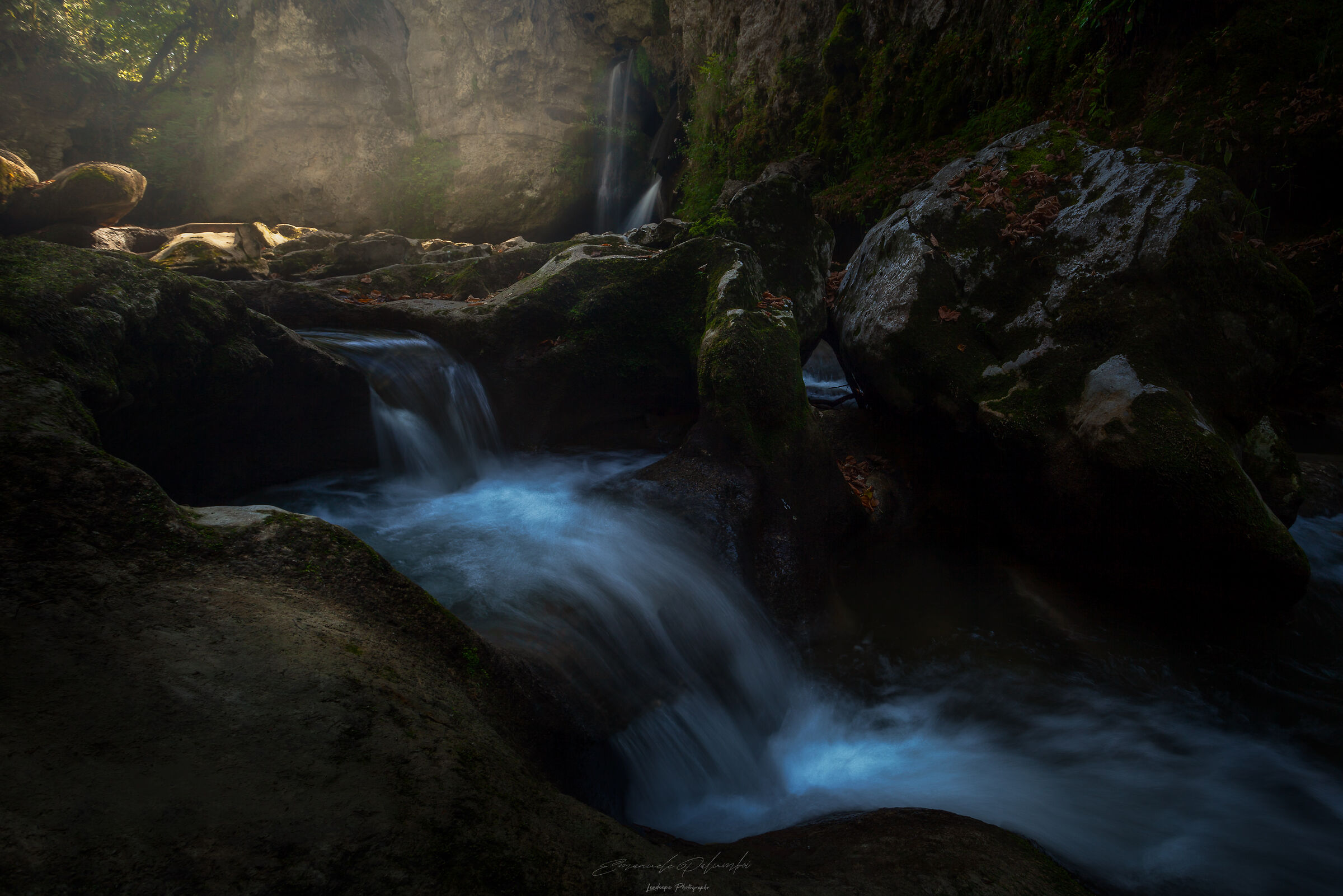 Luminous Tranquility