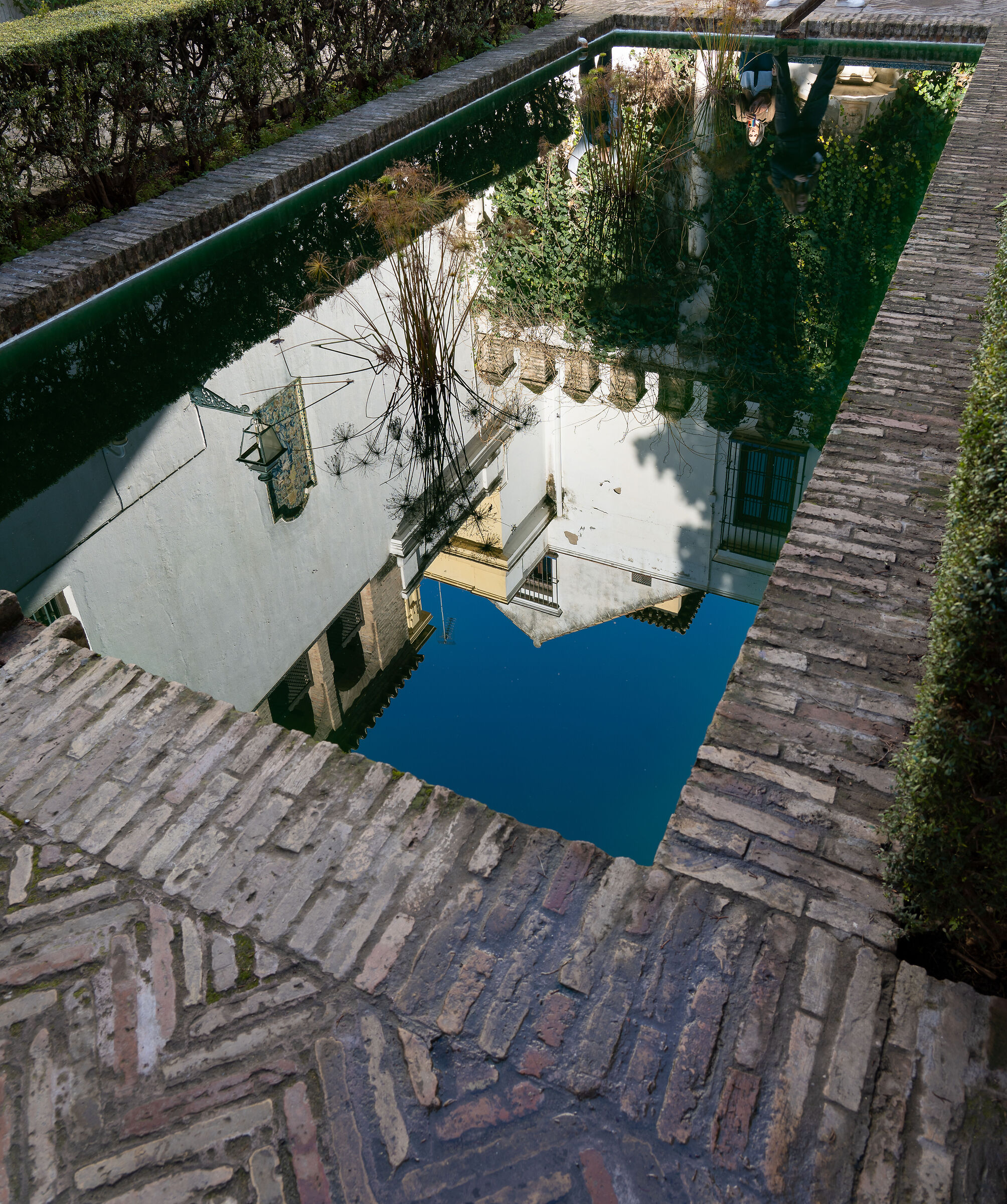 Alcazar