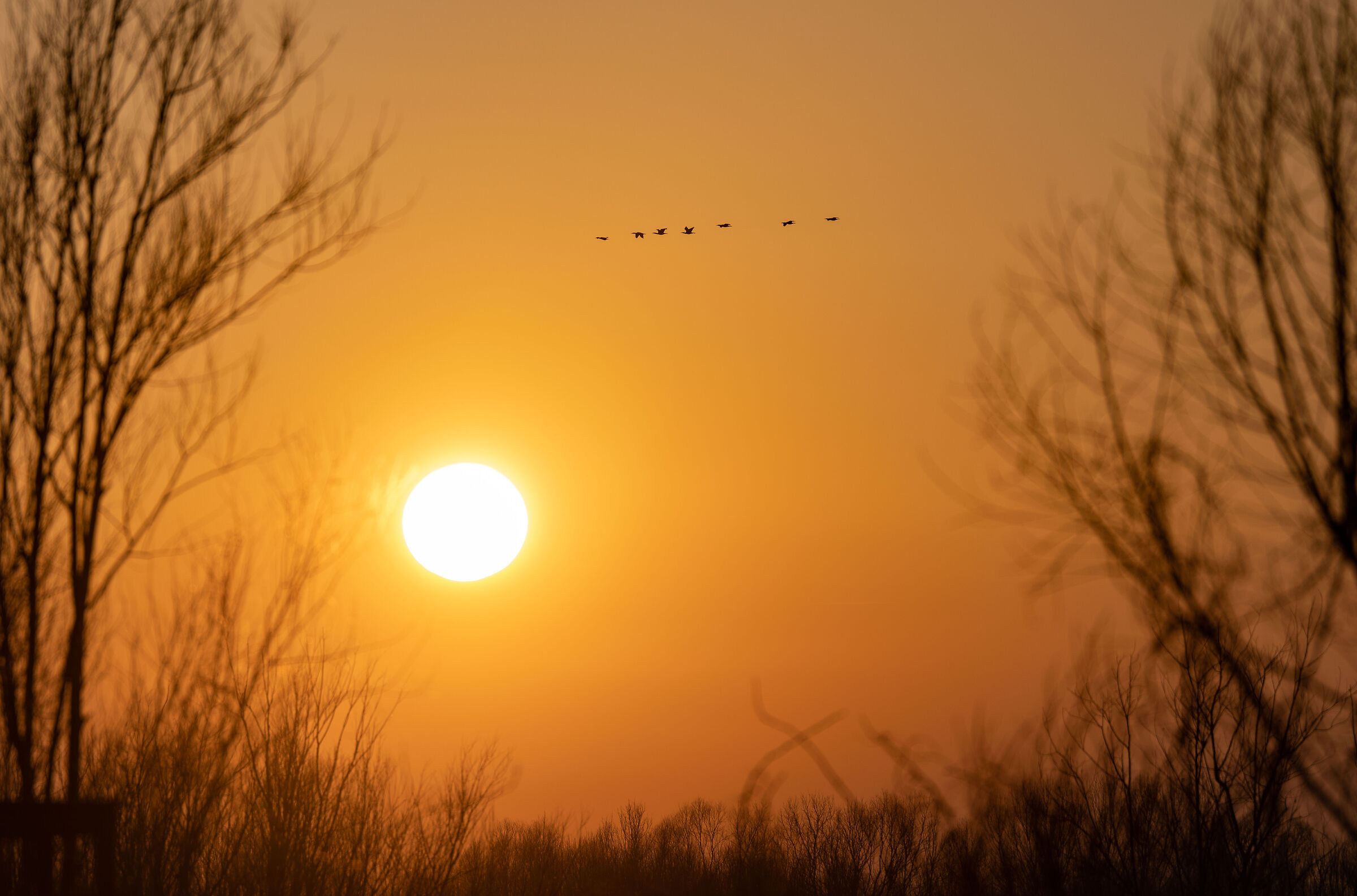 Tramonto delta del Po