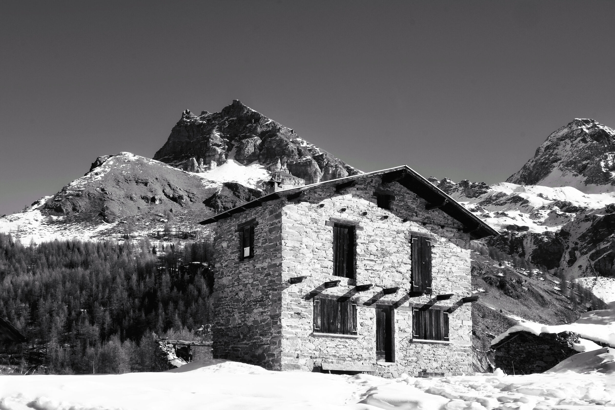 Cheneil e becca dAran