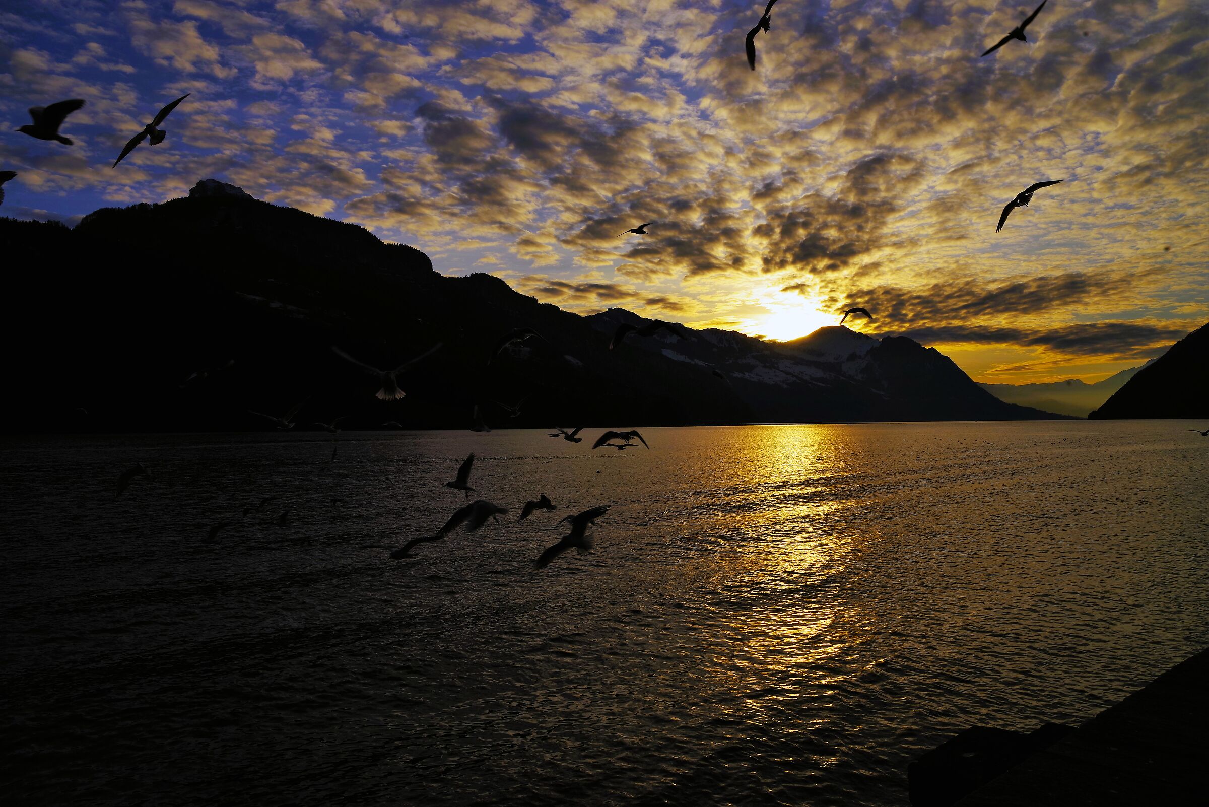 In riva al Lago dei Quattro Cantoni Svizzera