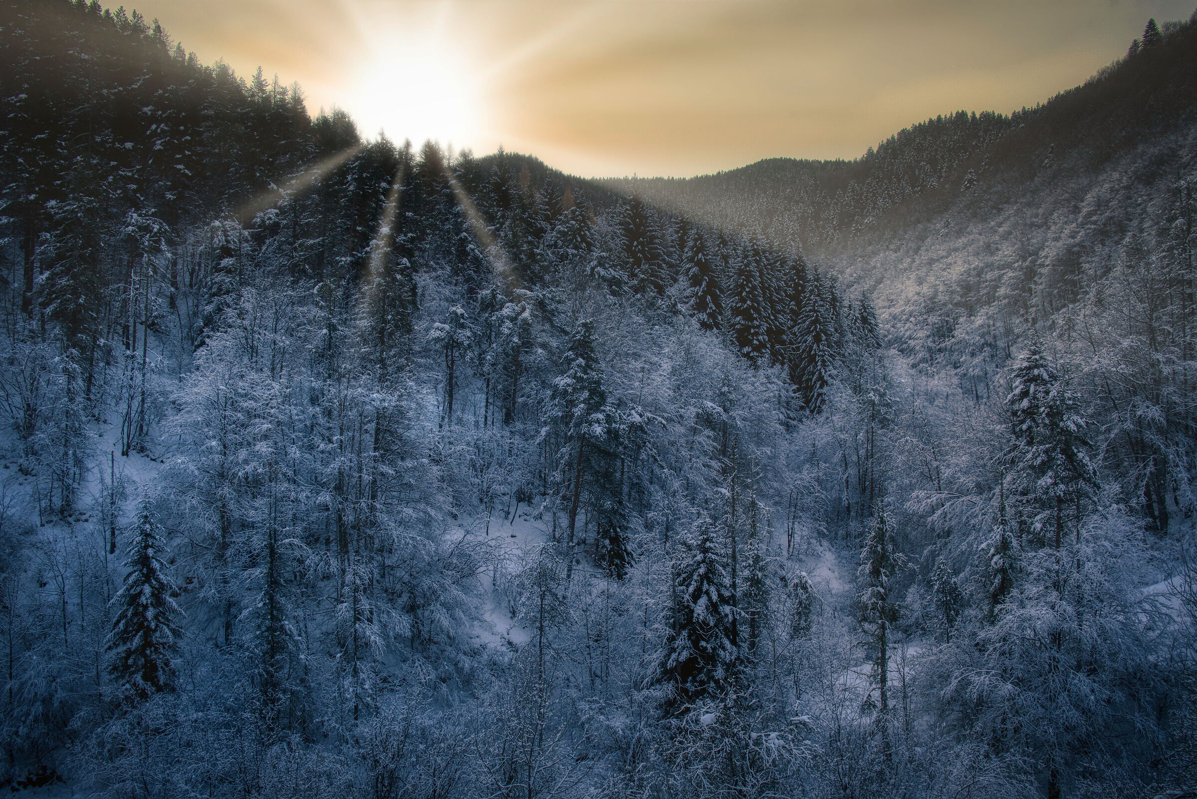 Winter light.... my dark mood