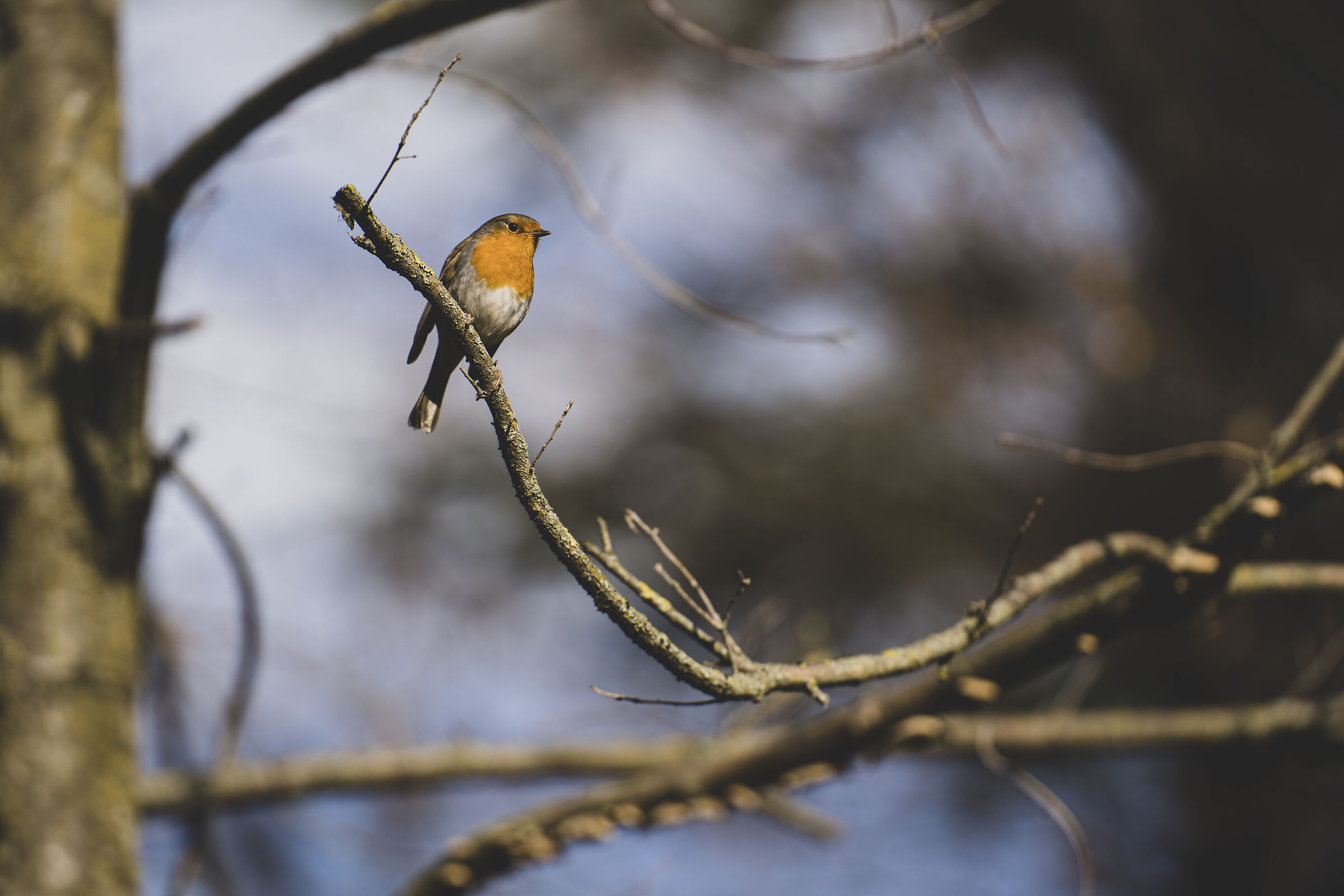 Wait for me to settle down... ok go shoot!