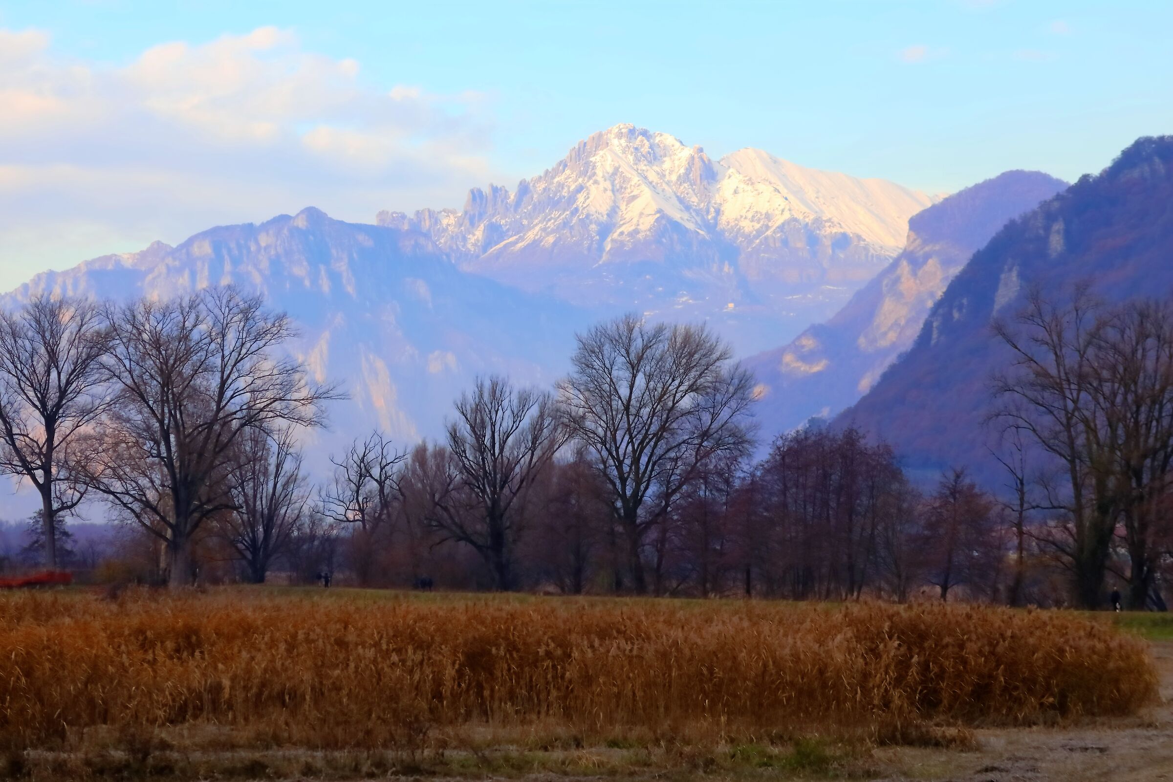 Parco Adda Nord 14-12-2022