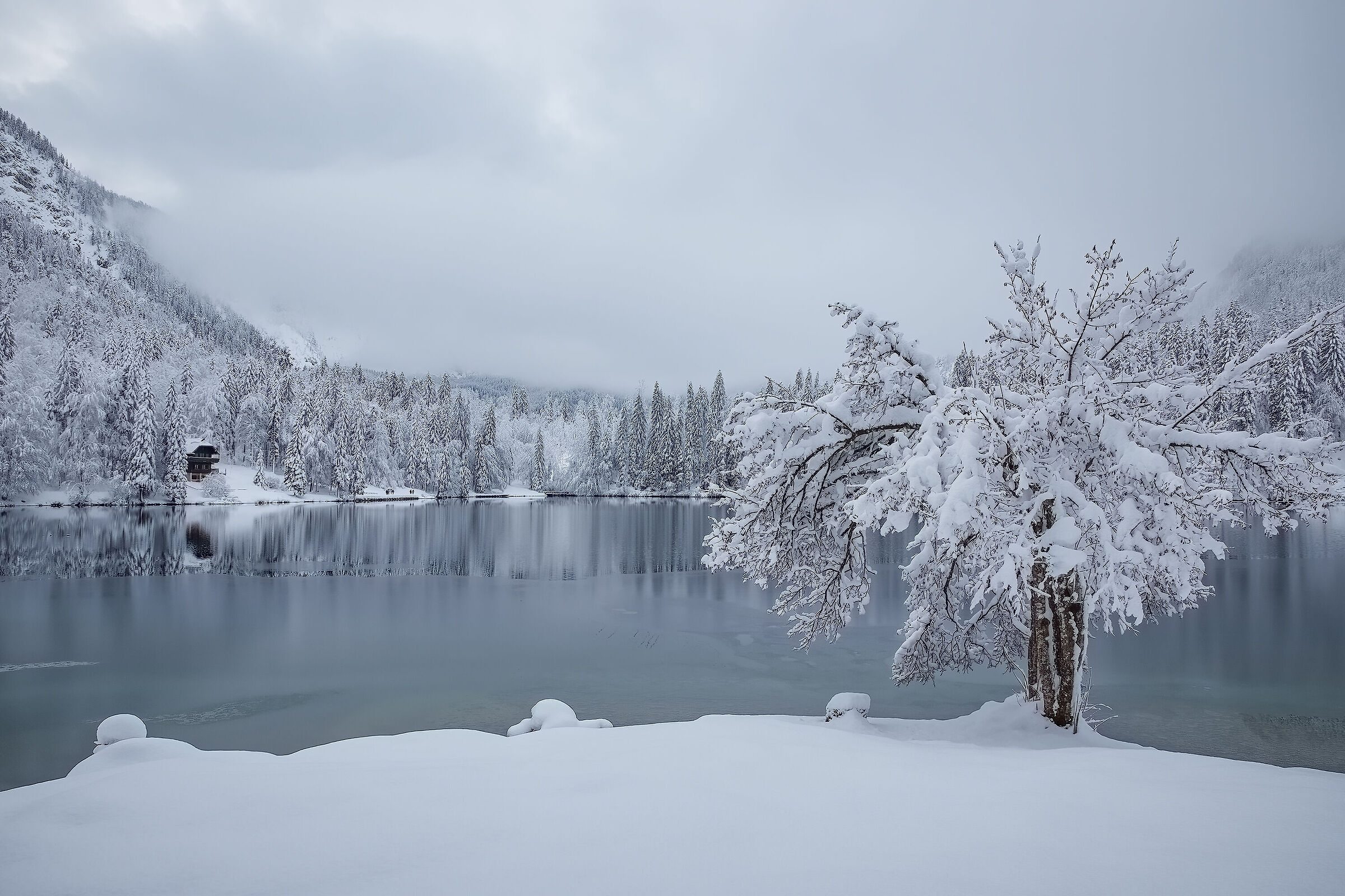 Lago inferiore di Fusine