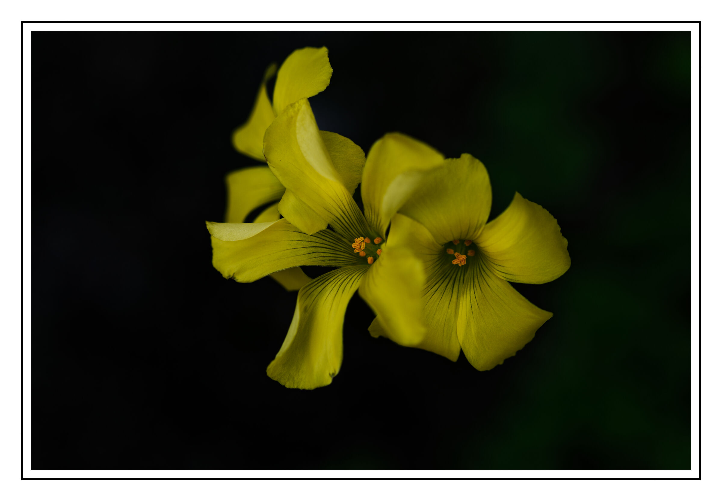 Untitled Photo