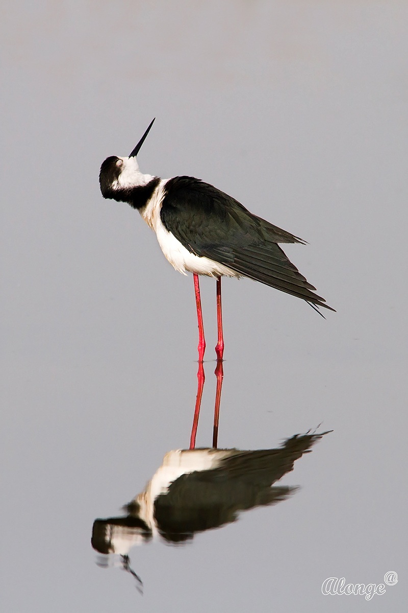 I look at the sky and I see you ....