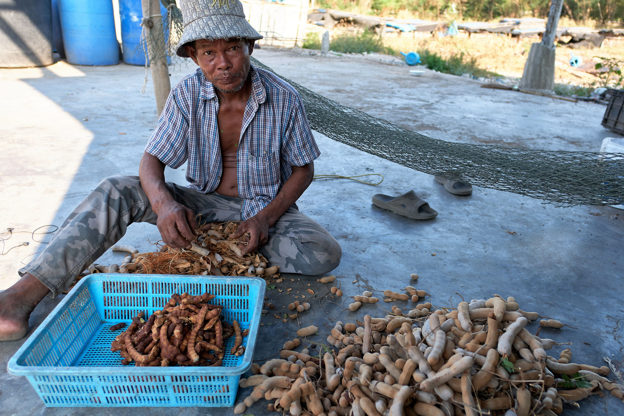 Chi pianta non raccoglie