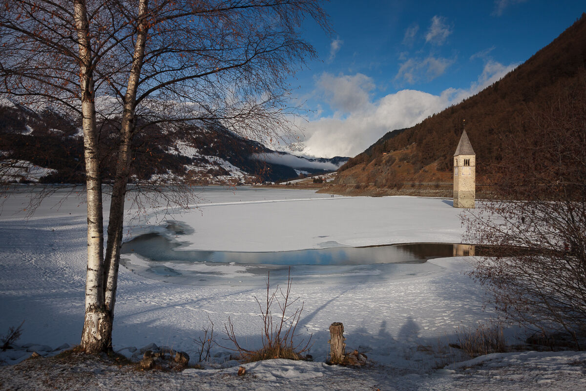 La betulla e il campanile ...