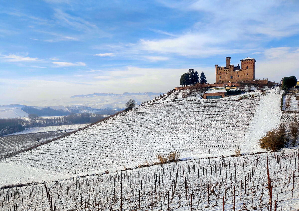 Gustava Vineyard and the Castle of Grinzane Cavour