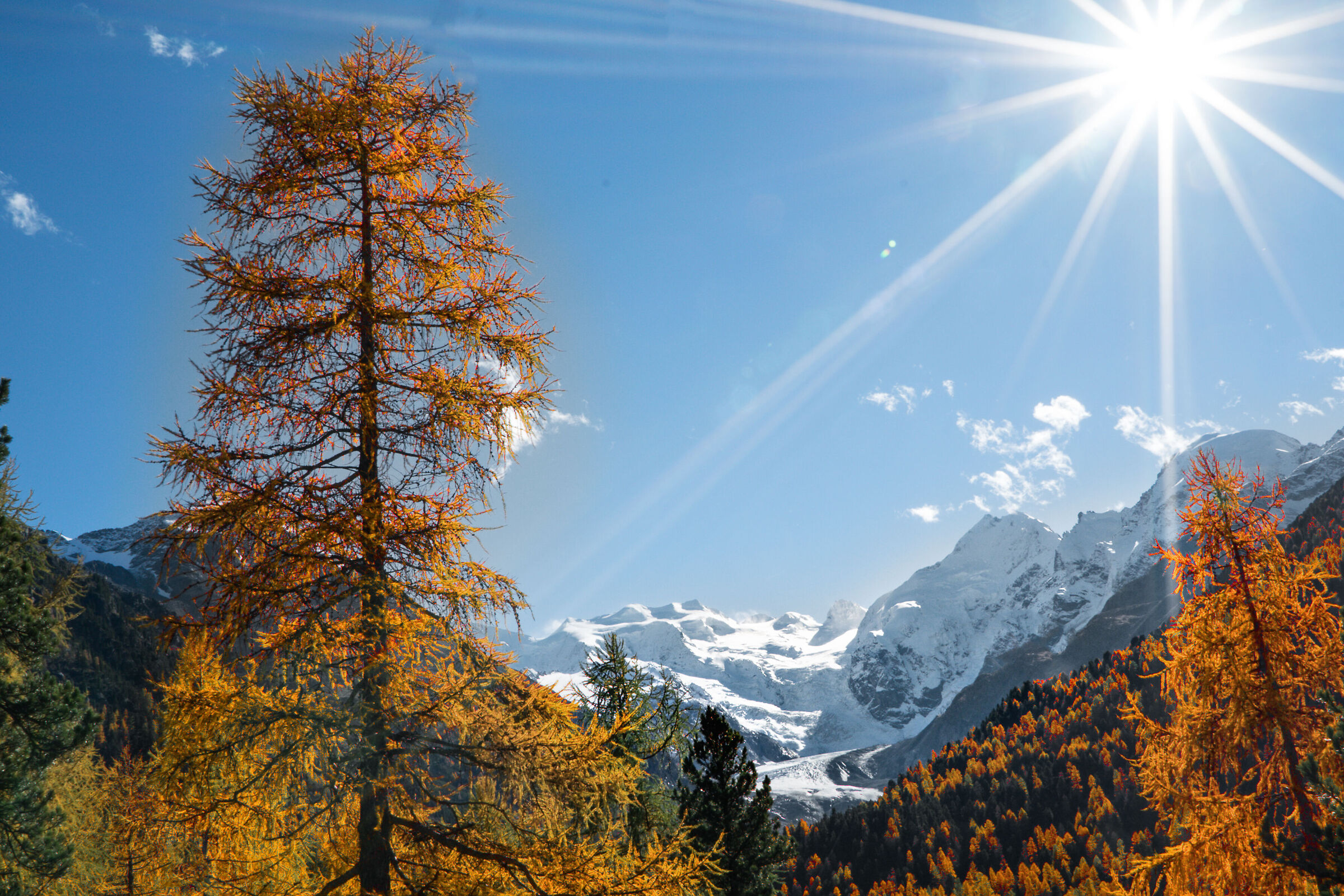 Ghiacciaio del Morteratch.    Svizzera