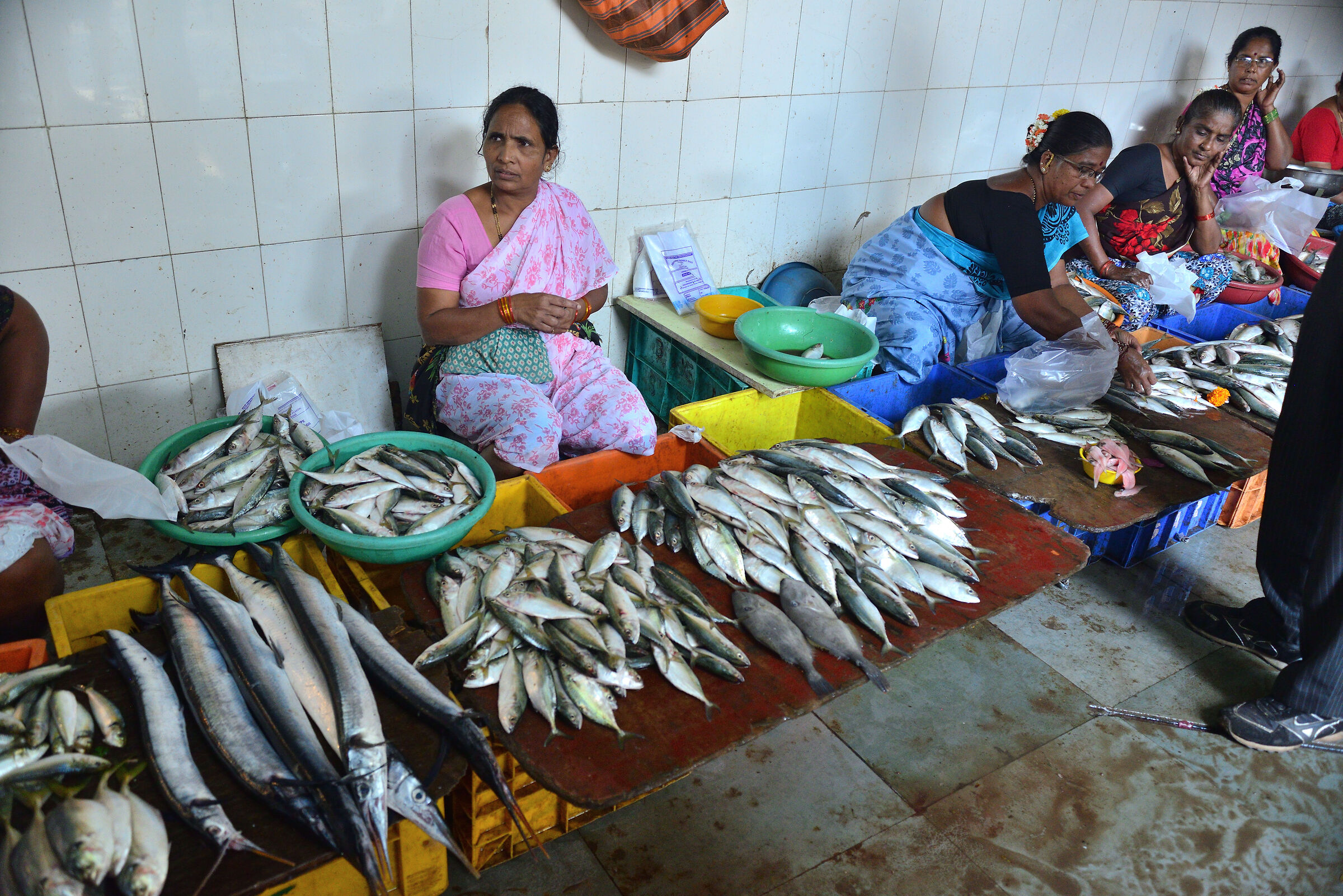 Sri Lanka 4