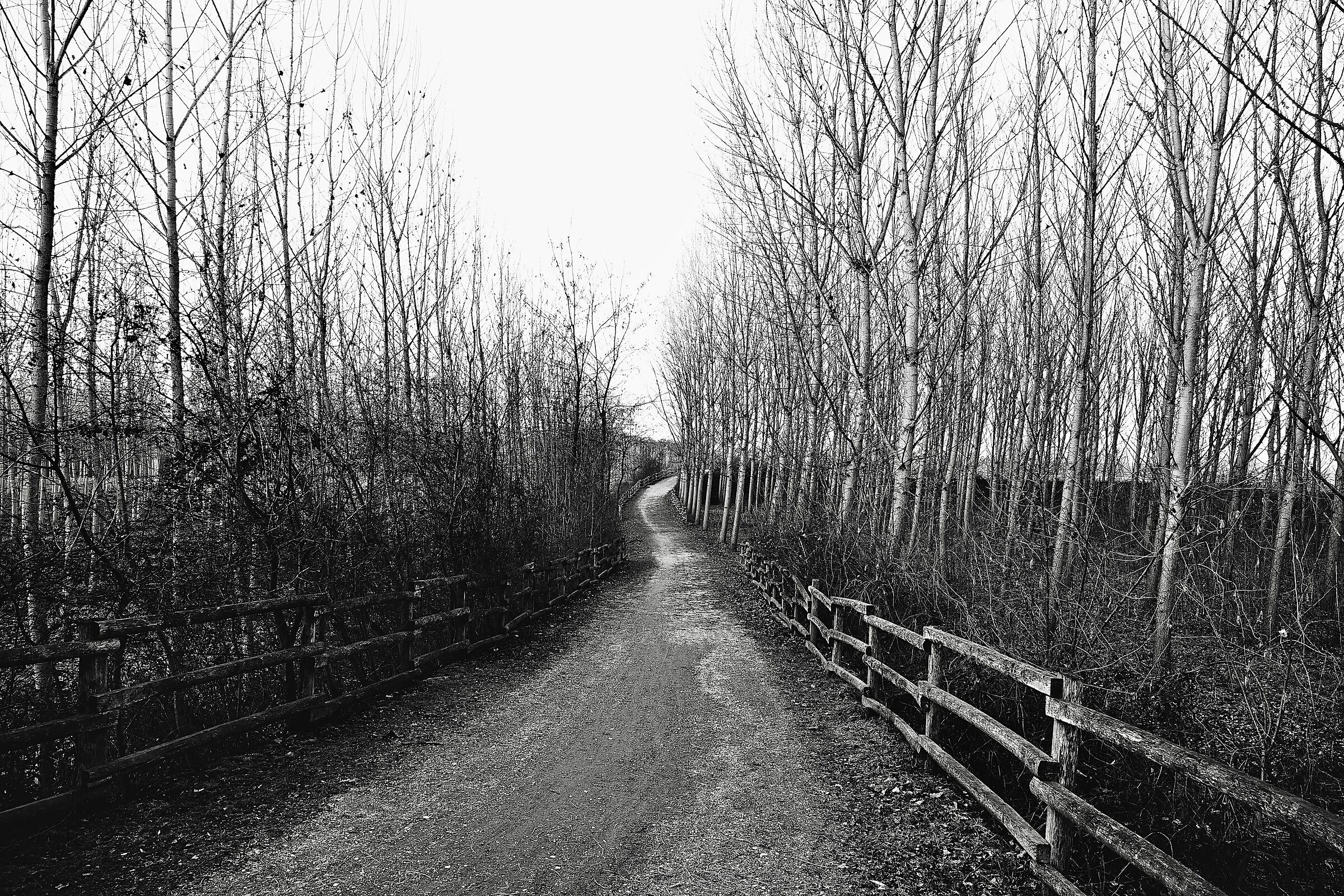 Untitled Photo