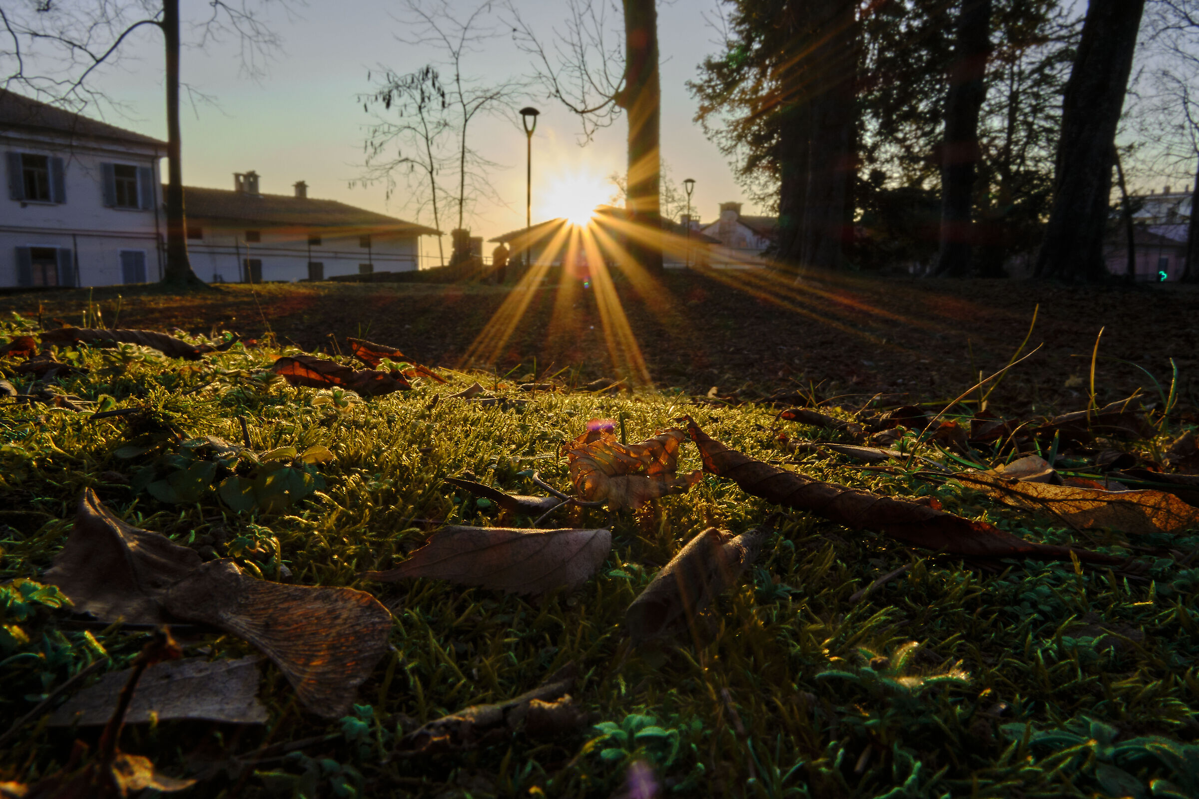 beam of light in the park in the town center