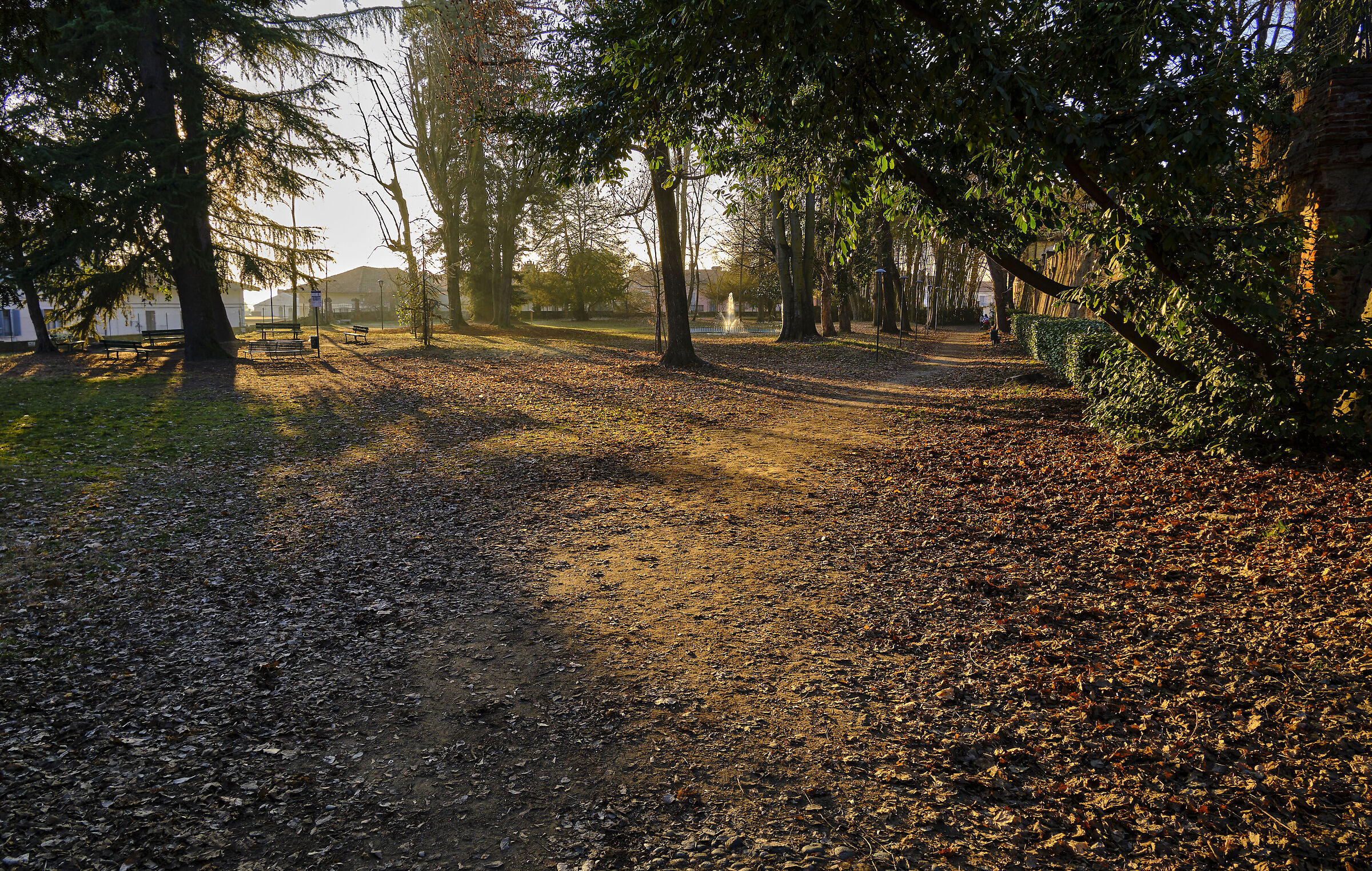 Walk in the park in the center
