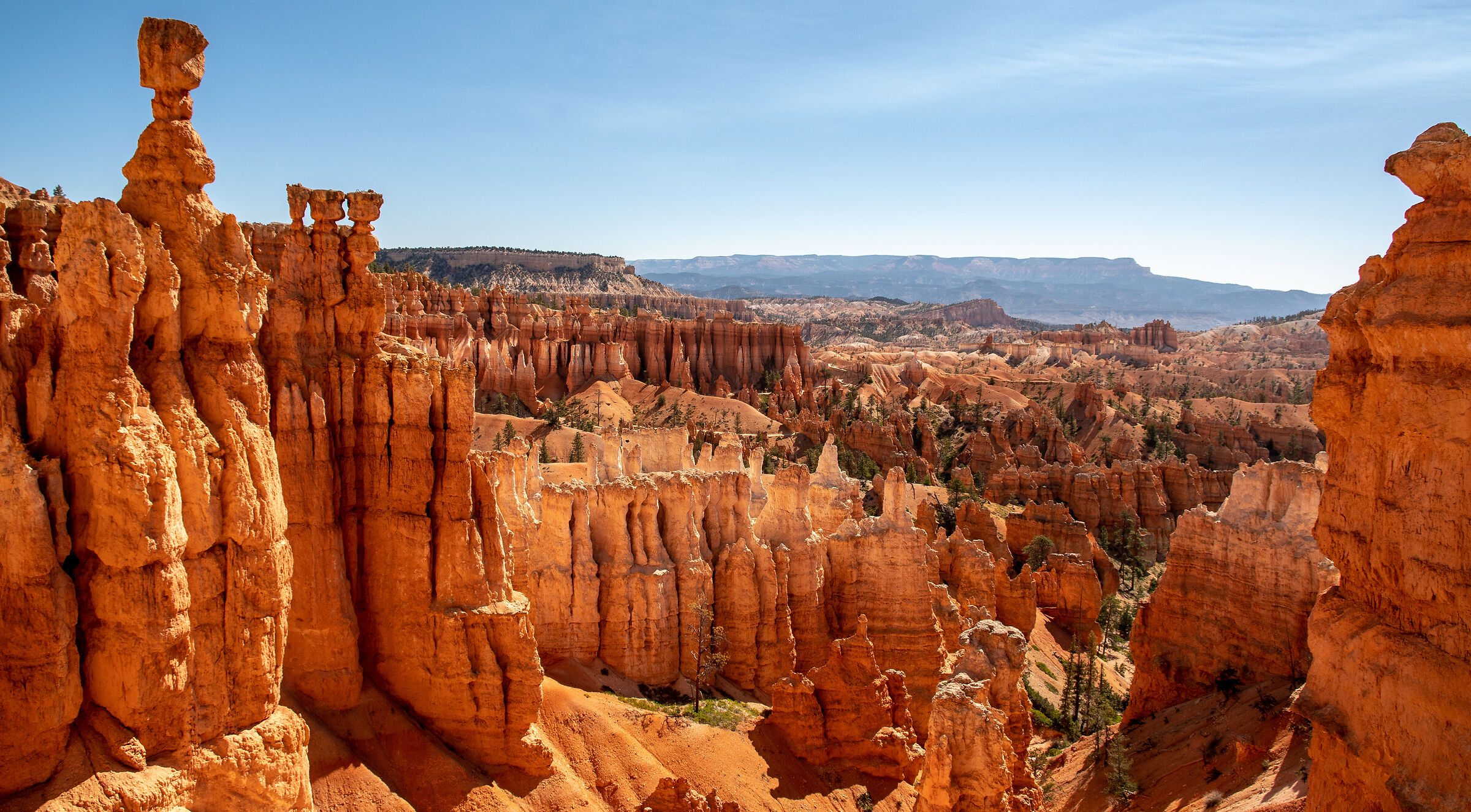 Bryce