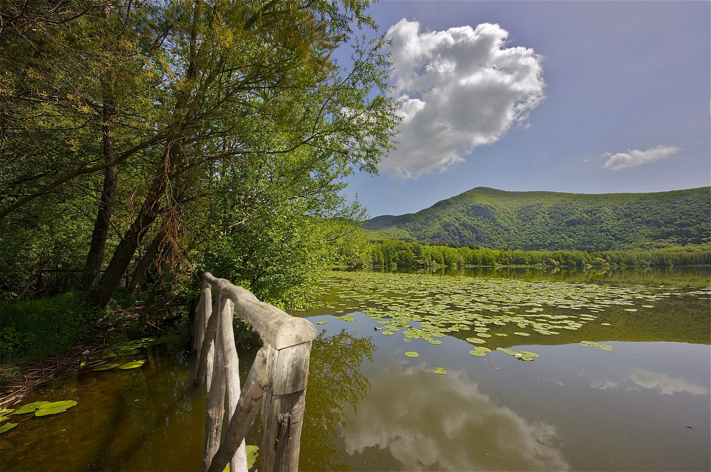 Monticchio (pcs) - Big Lake