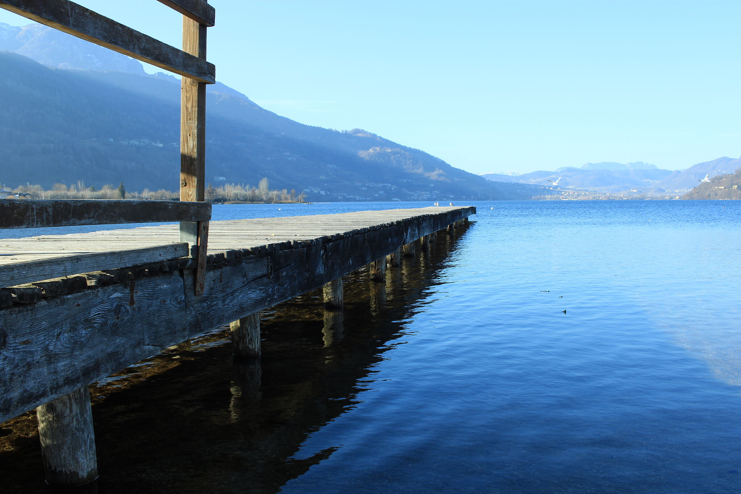 On the coast of Lake Caldonazzo in Trentino