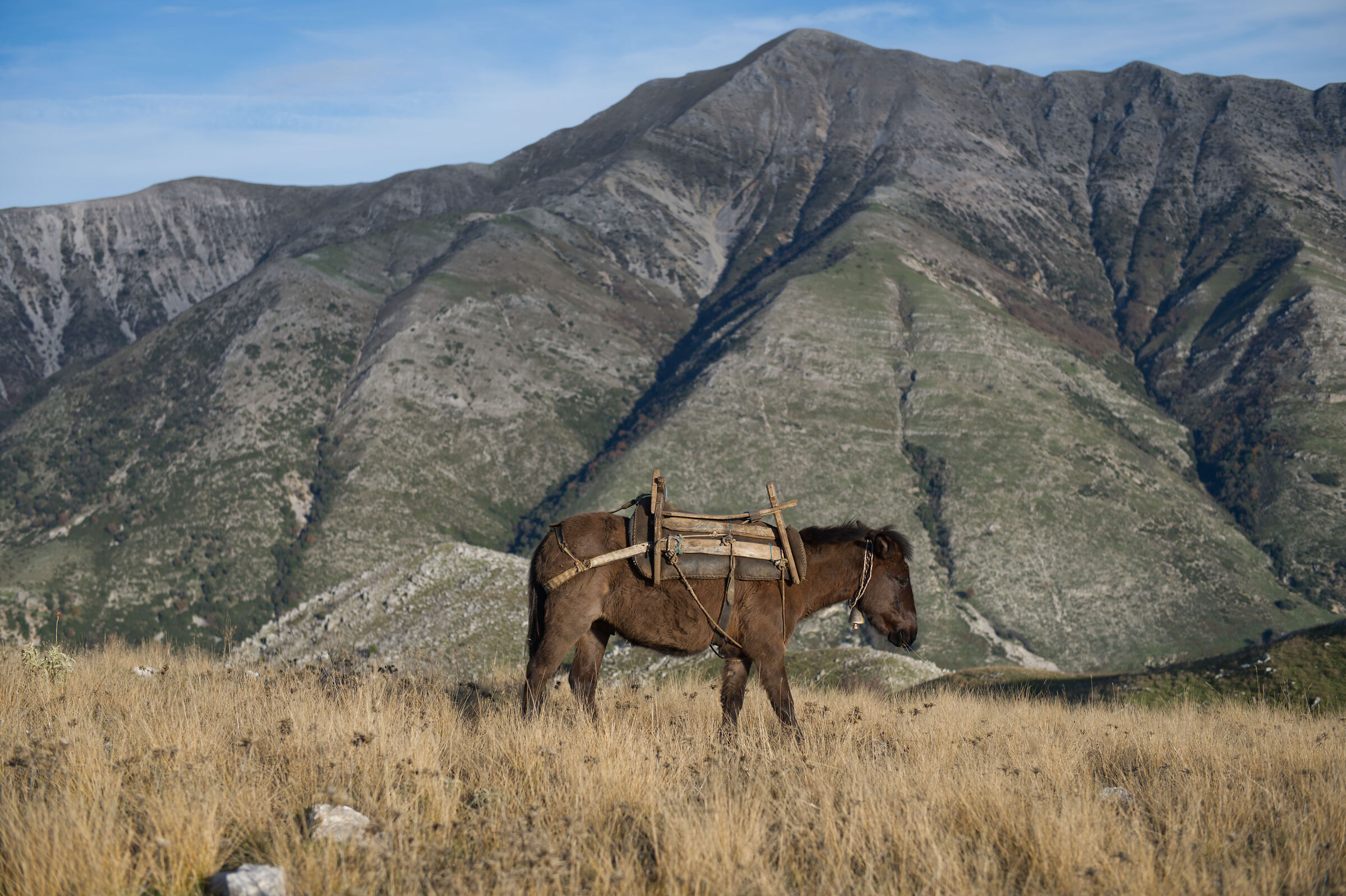 Il vero portatore dei monti albanesi