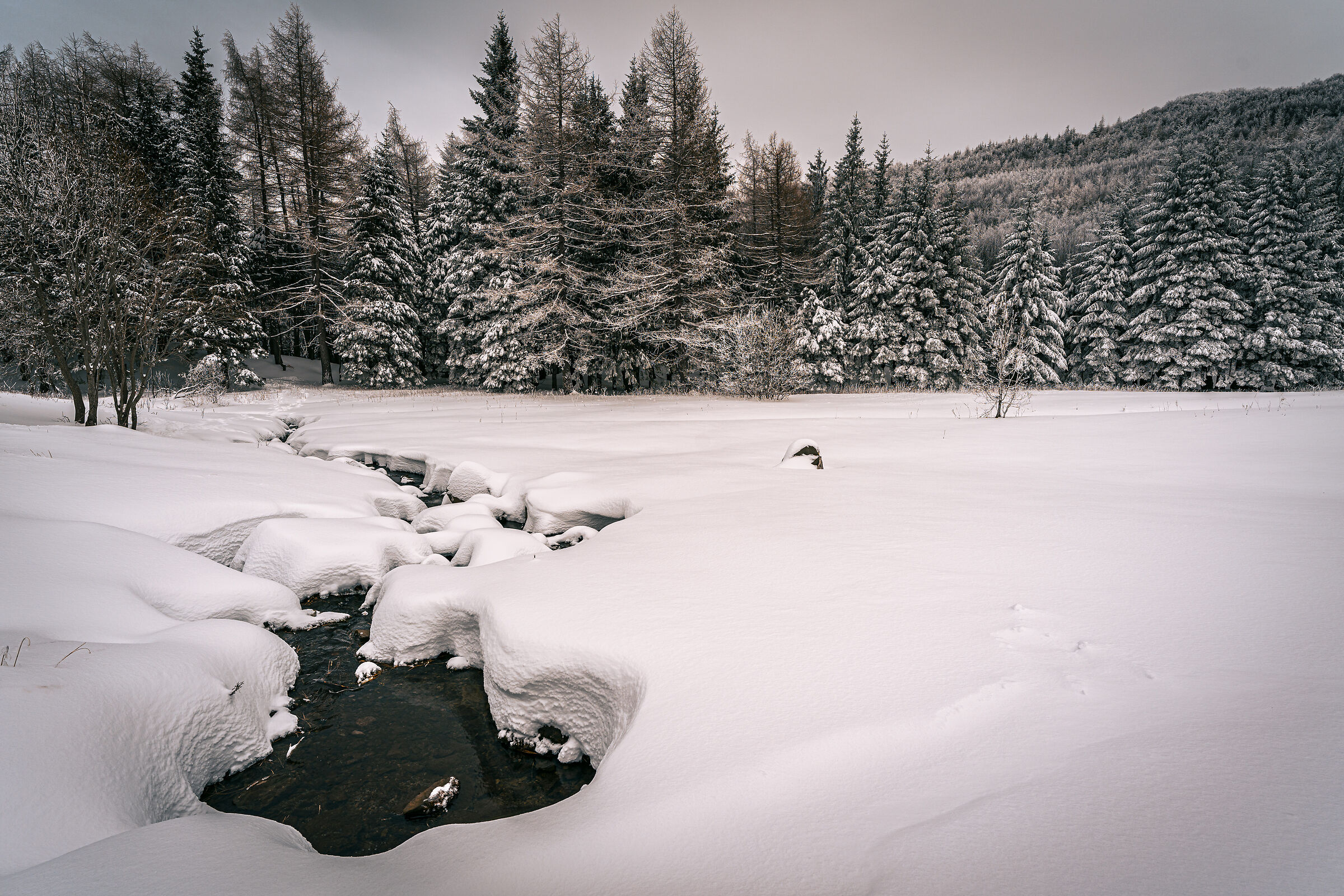 Nella valle del silenzio
