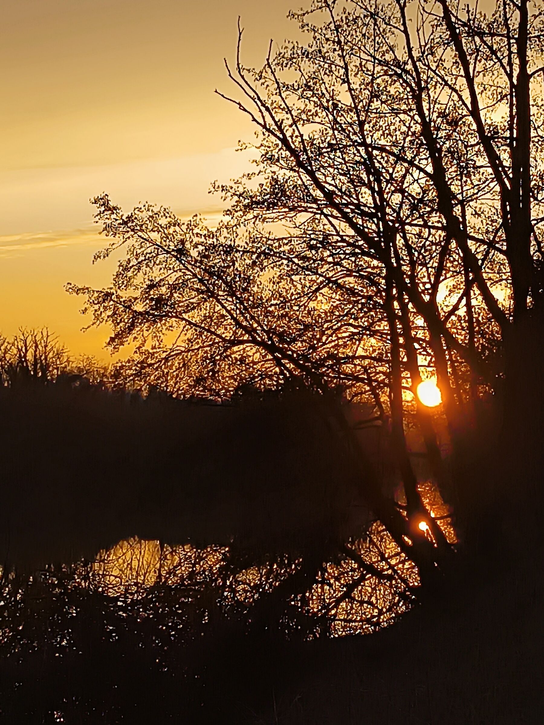 Pace lungo il fiume Marna