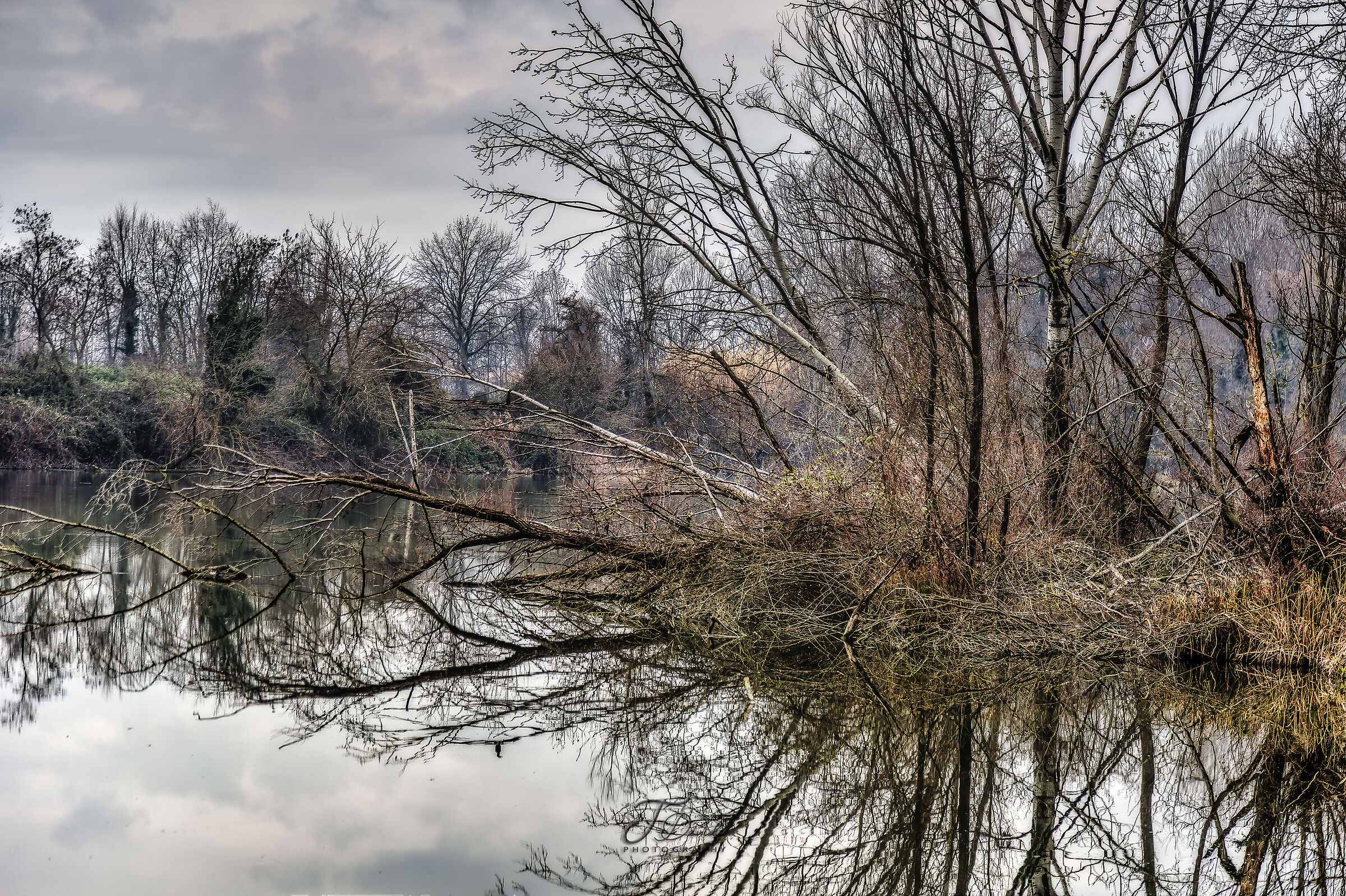 Martellago Lakes