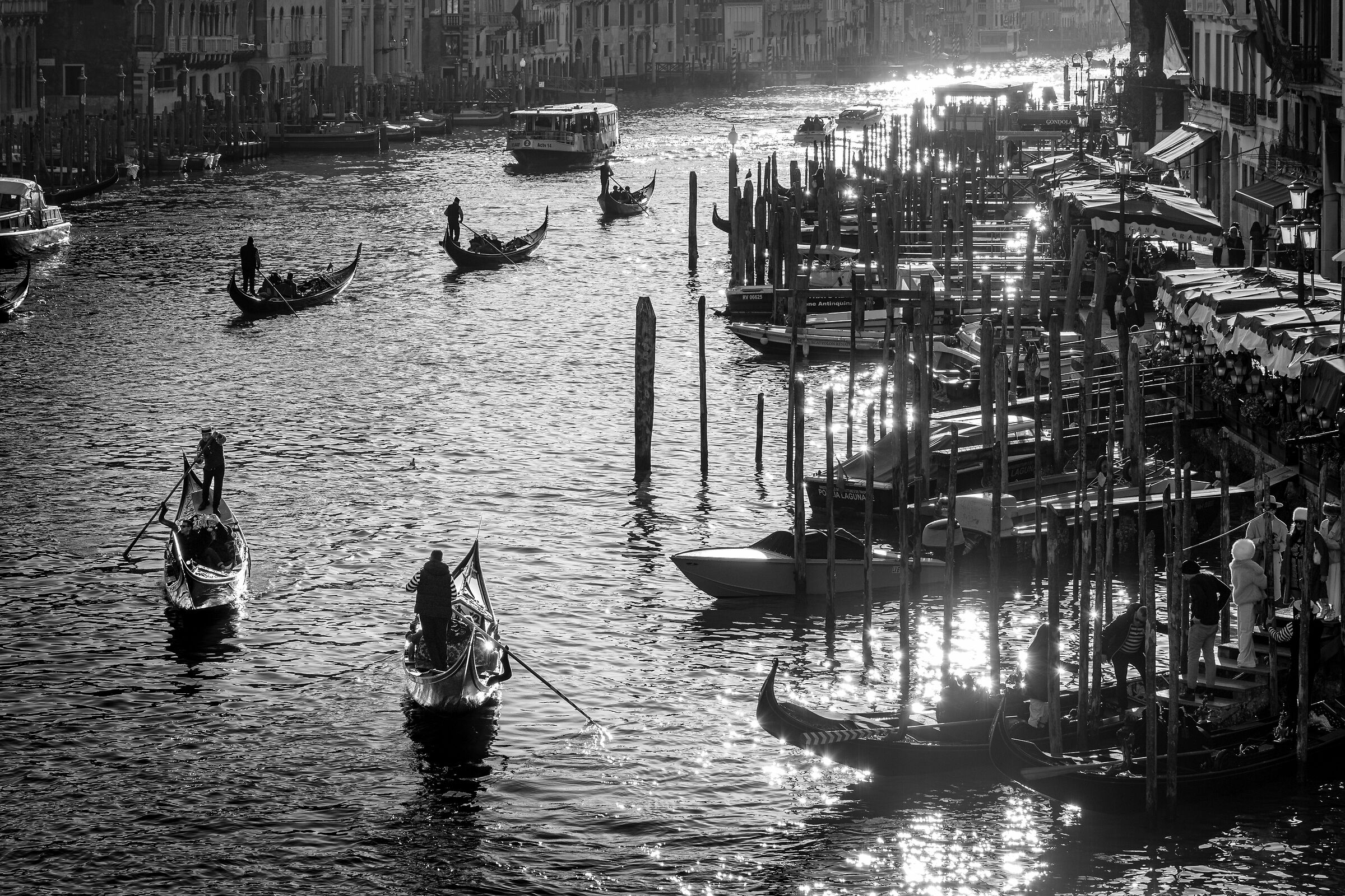 Gondolas on the Grand Canal
