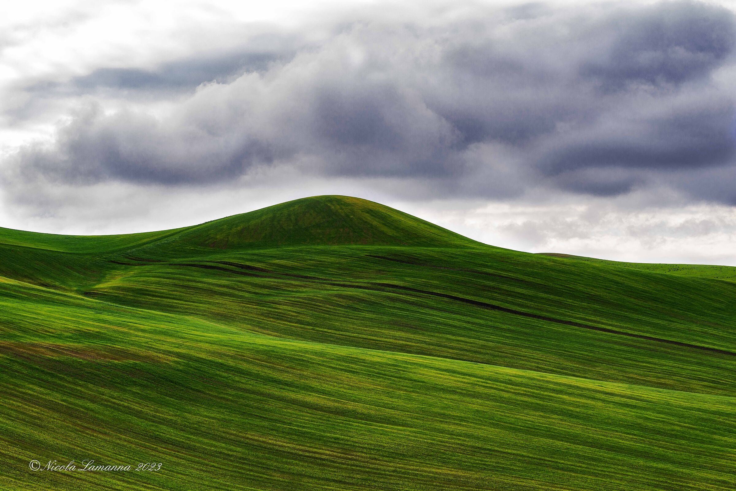 Untitled Photo