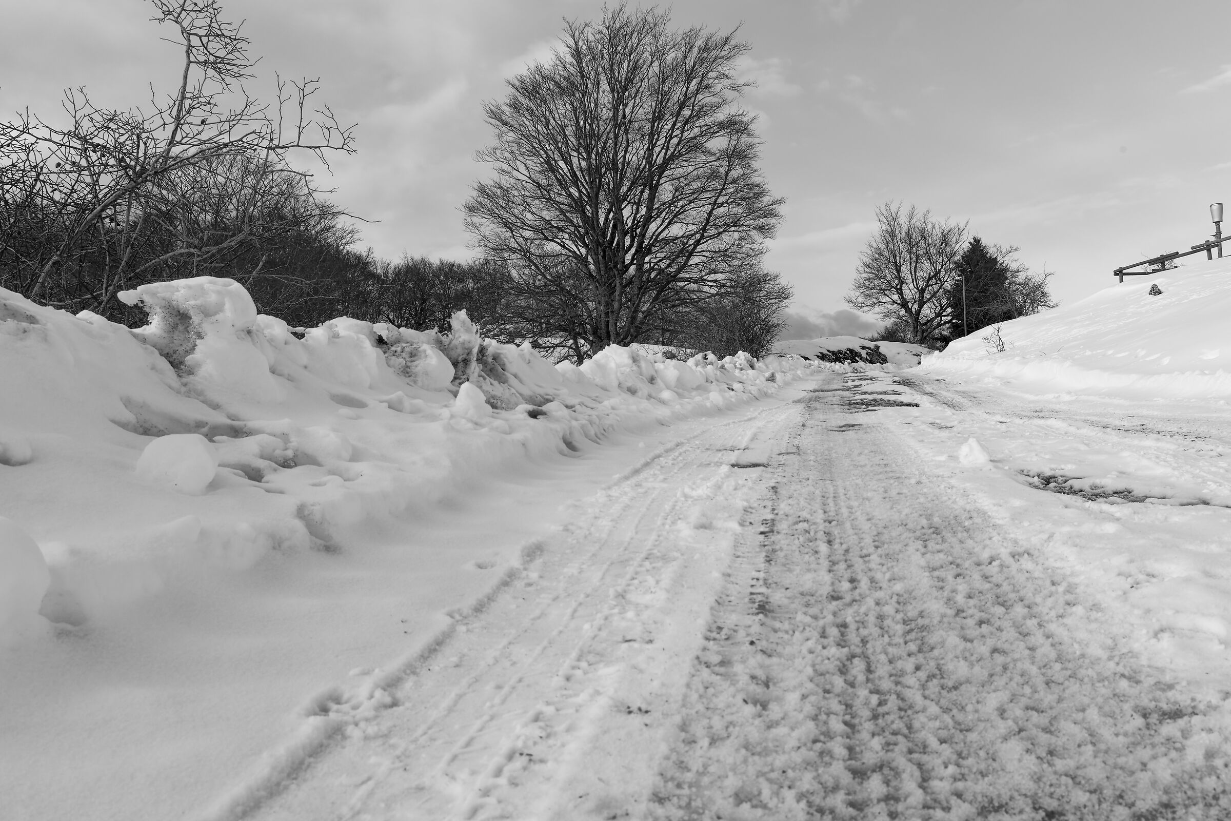 snowy landscape
