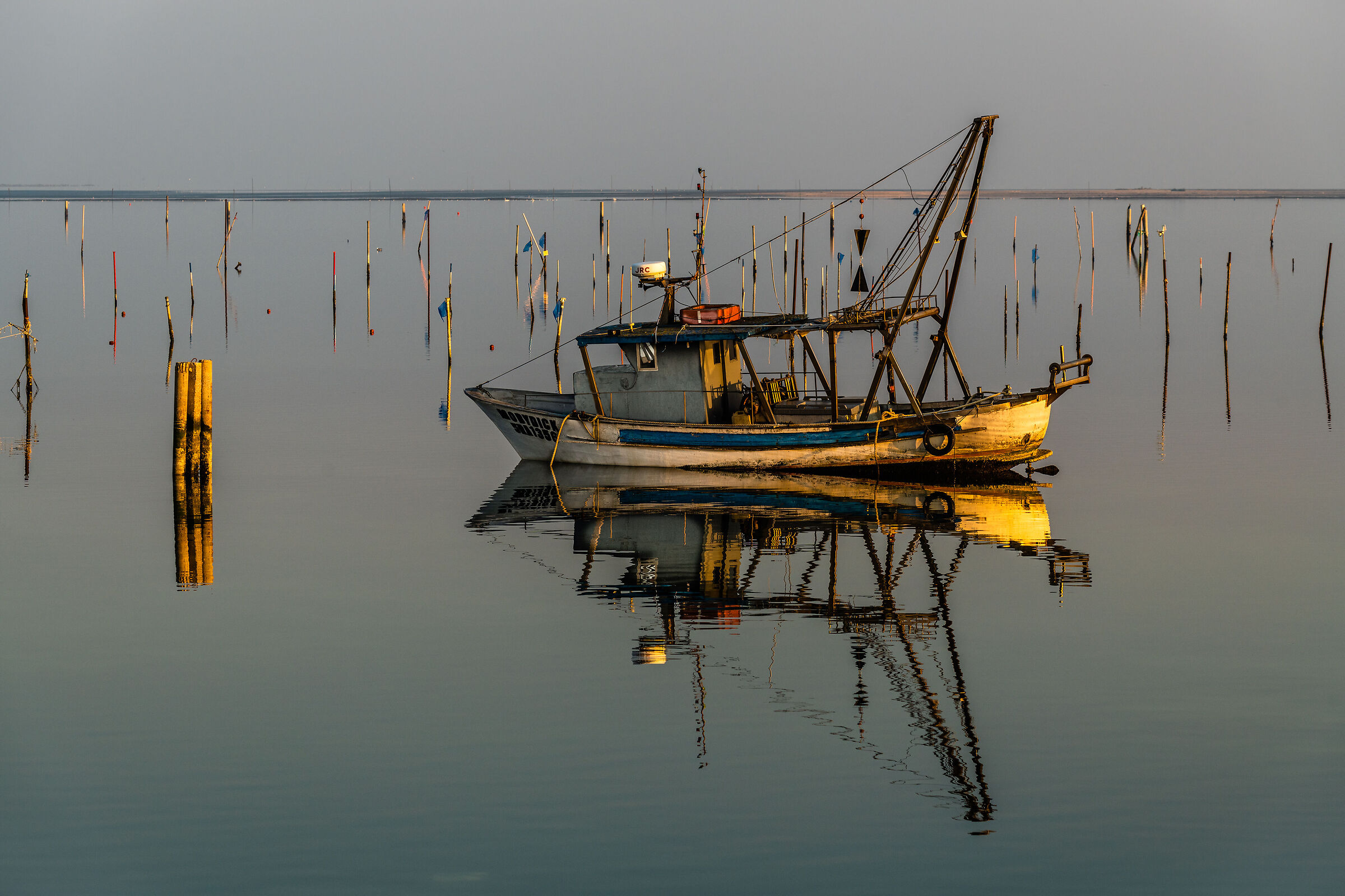 Il gioco dello Shanghai
