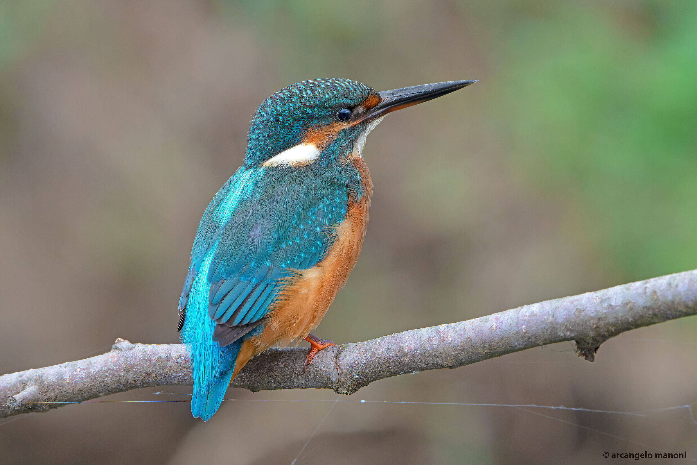 Test PD f16 at Martina