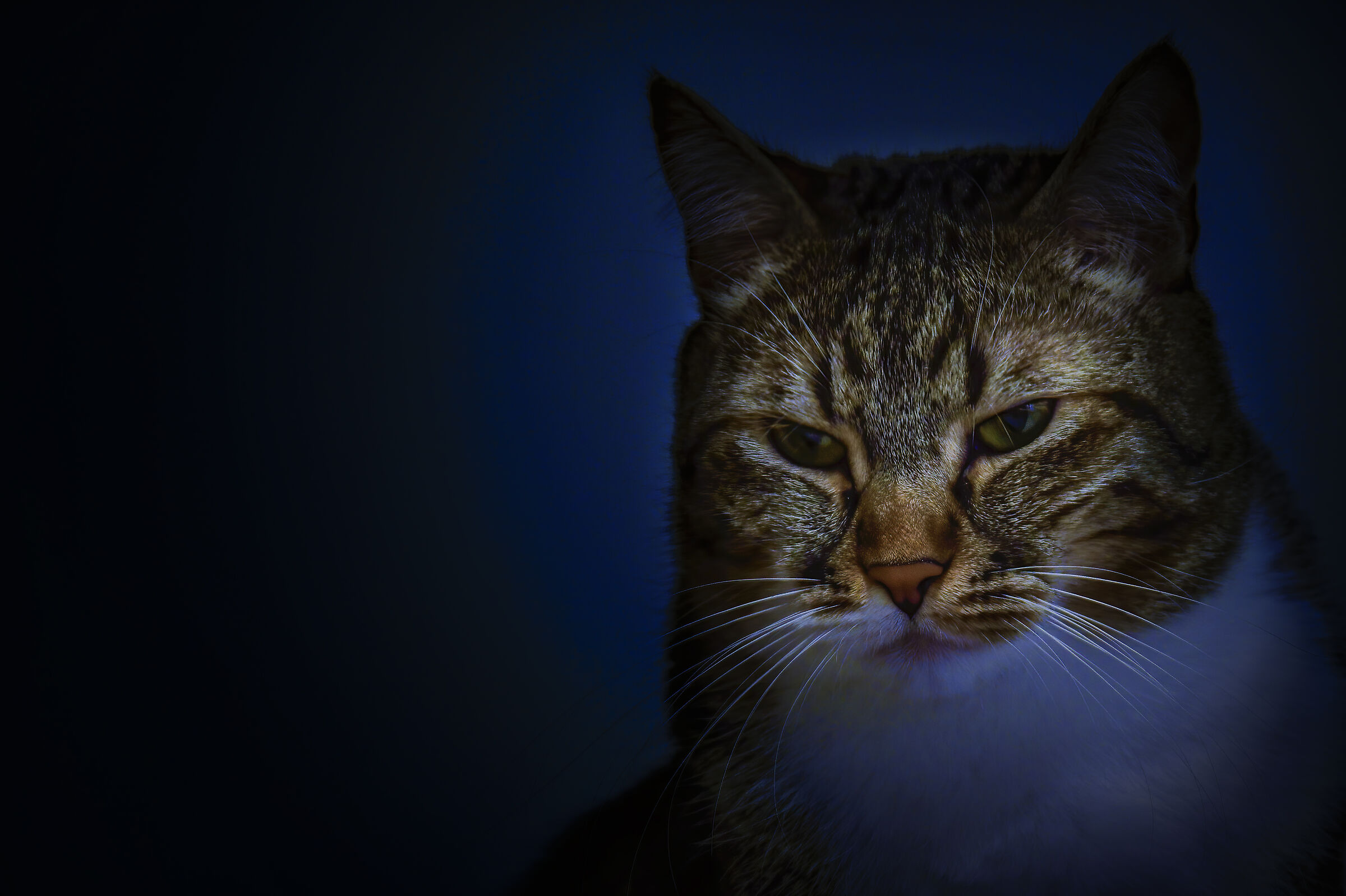 Lei.... Il Diavolo.....