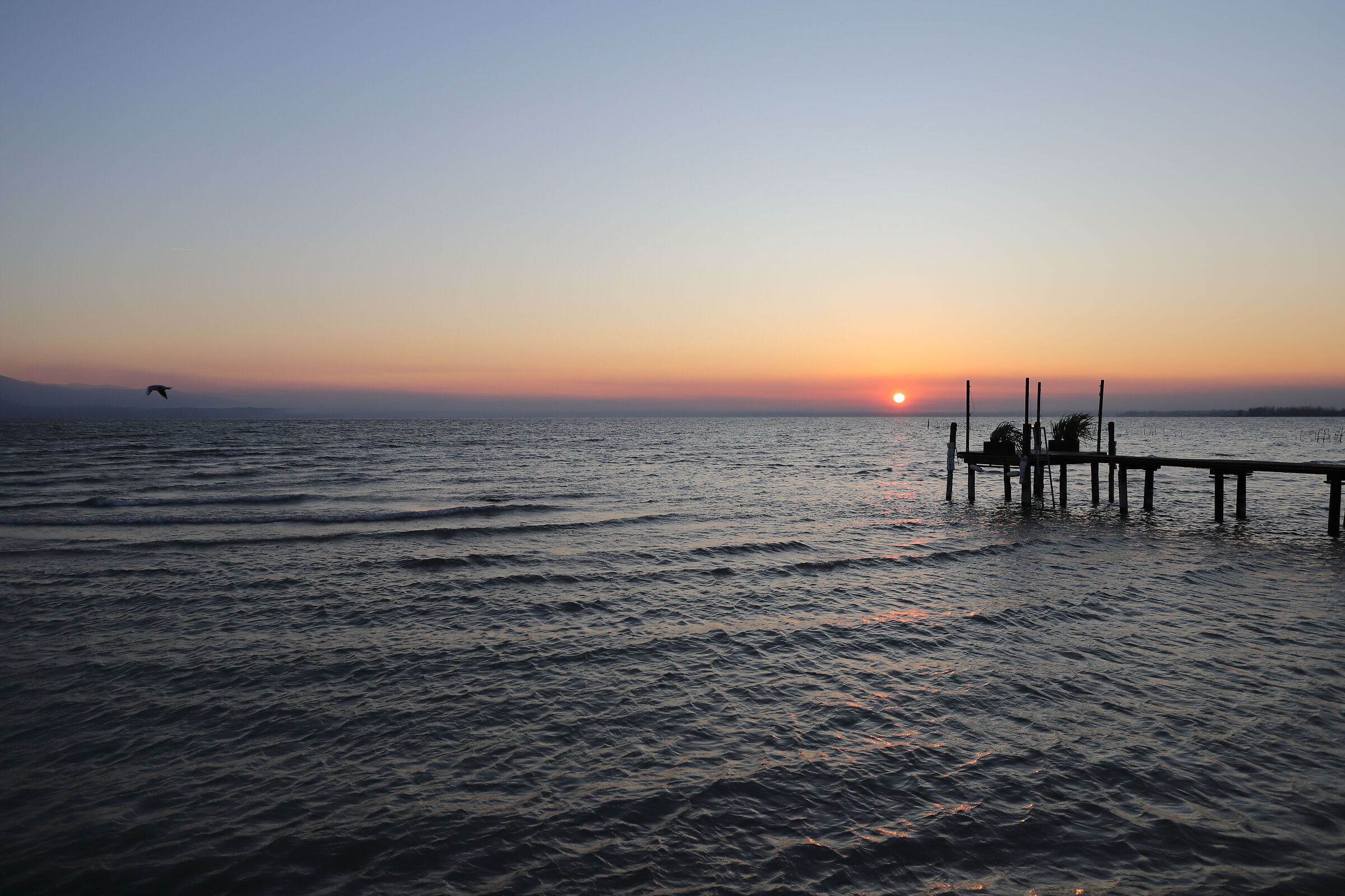 Alba sul lago 3