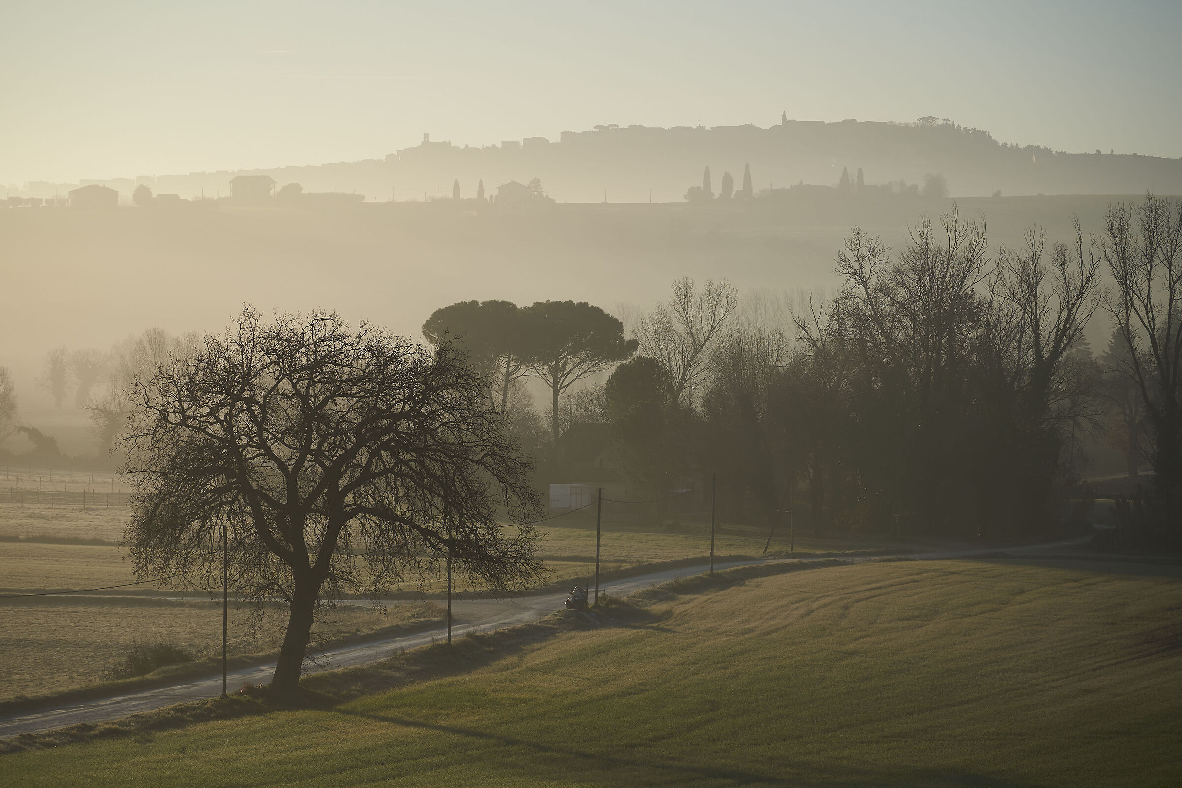 Nebbioline mattutine