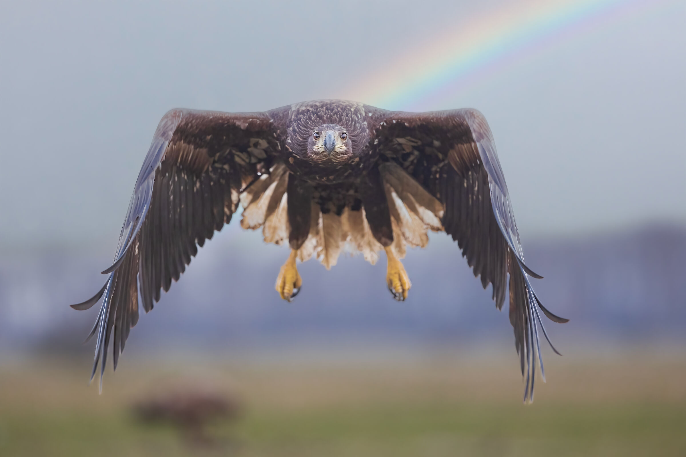 ...wish it was true...