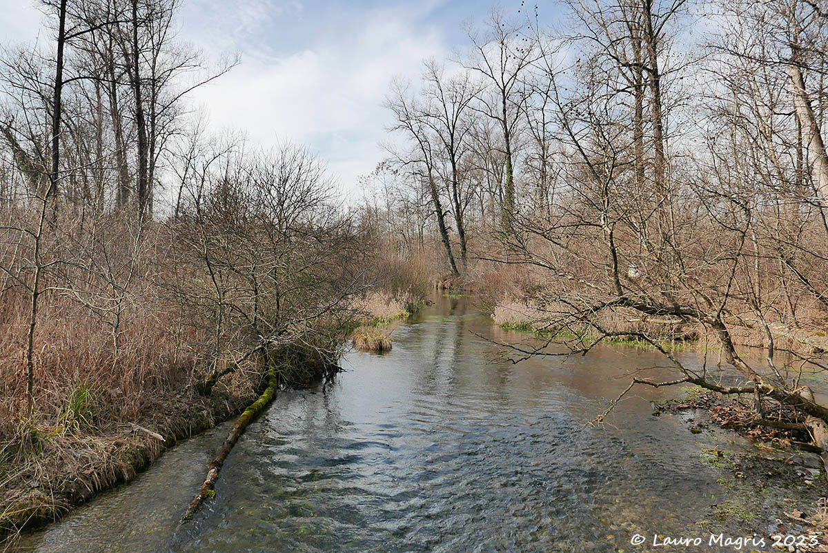 Vasca dei beccaccini