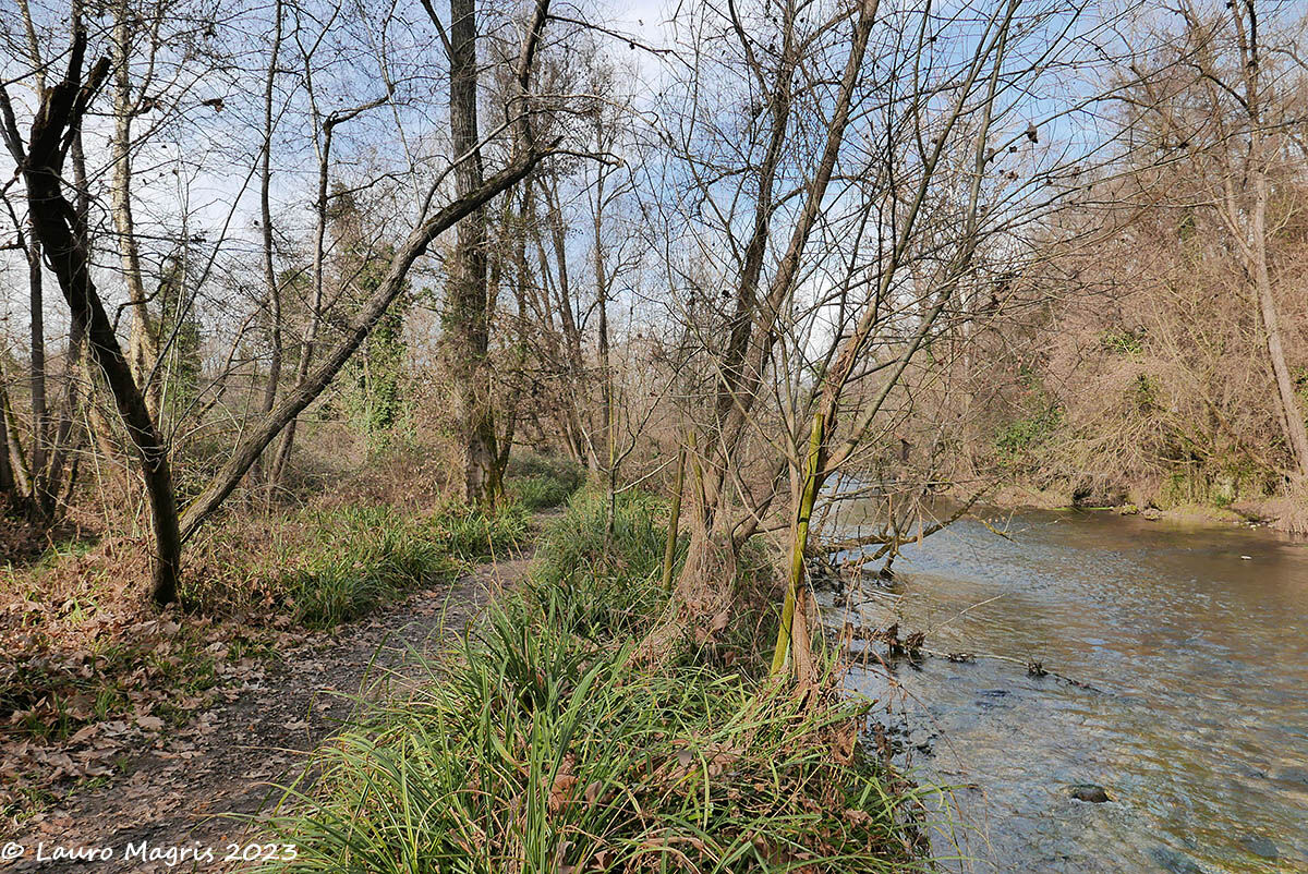 Lungo il torrente Rosper