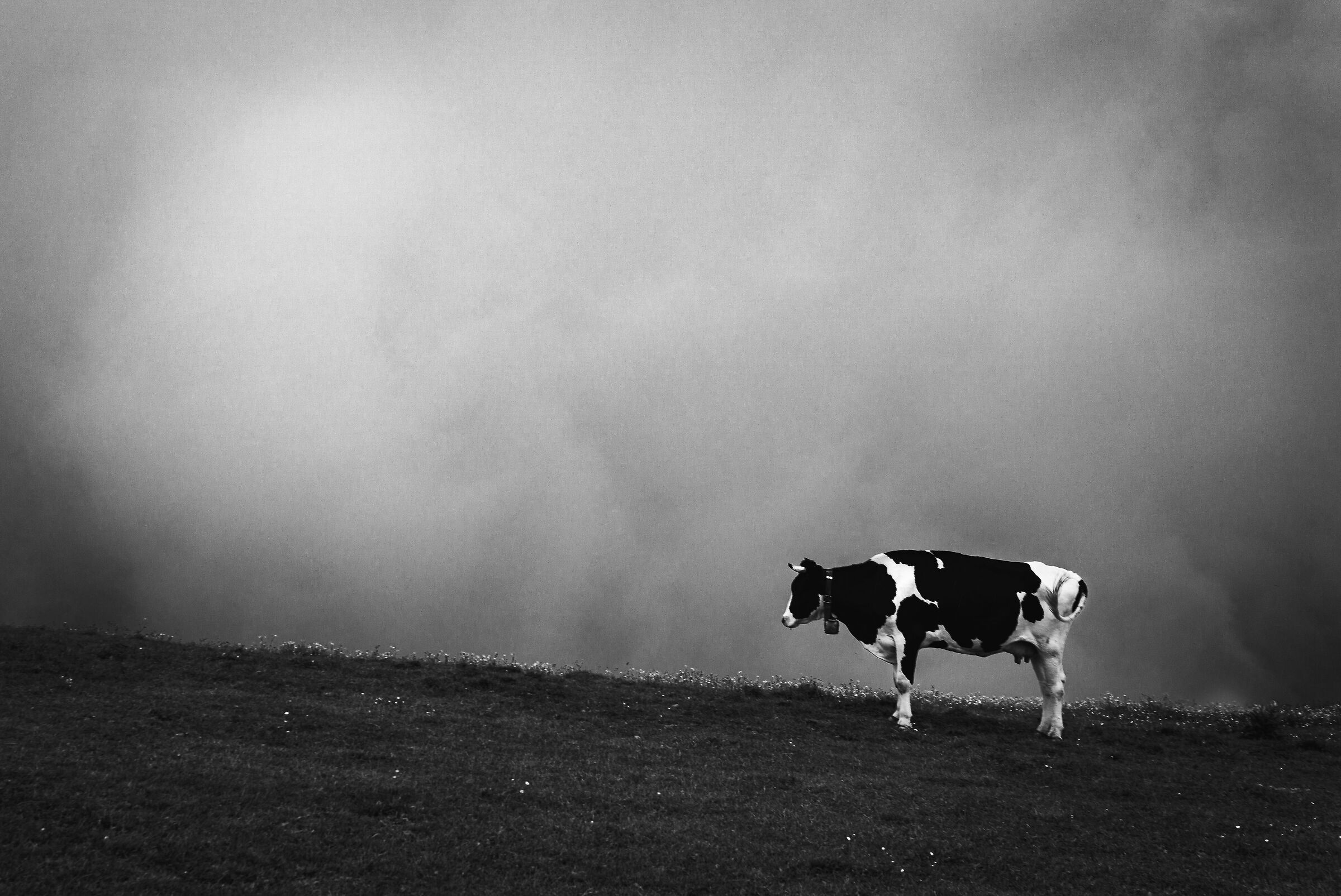 Standing on the edge of precipice