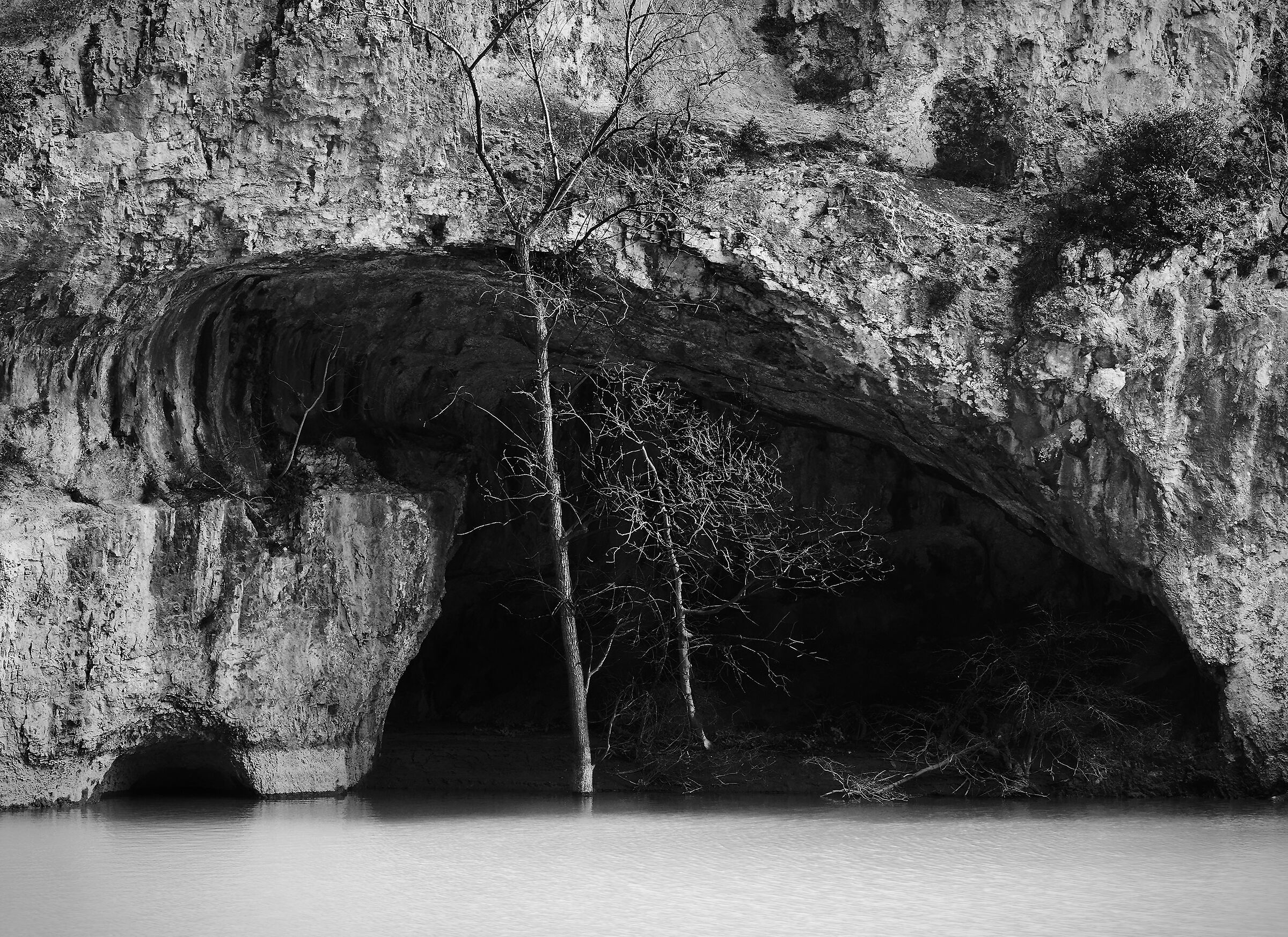 philosopher's tree .3