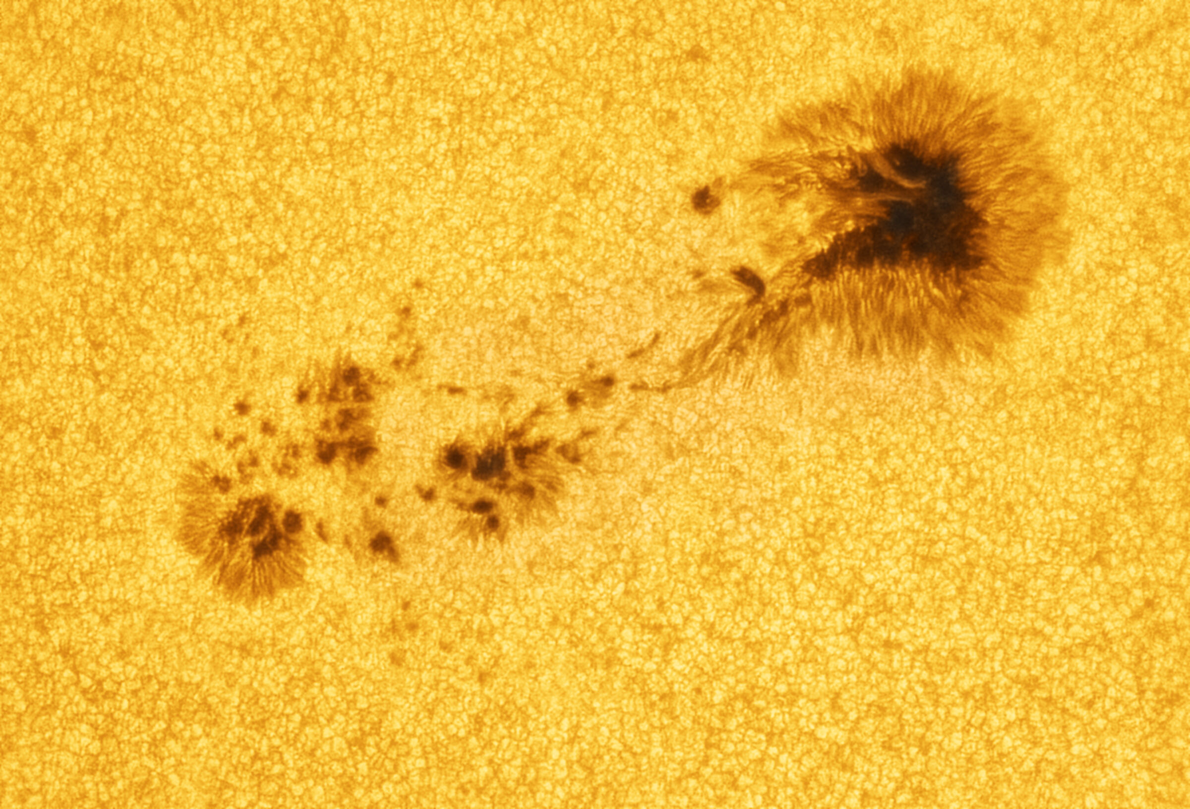AR3226 in white light