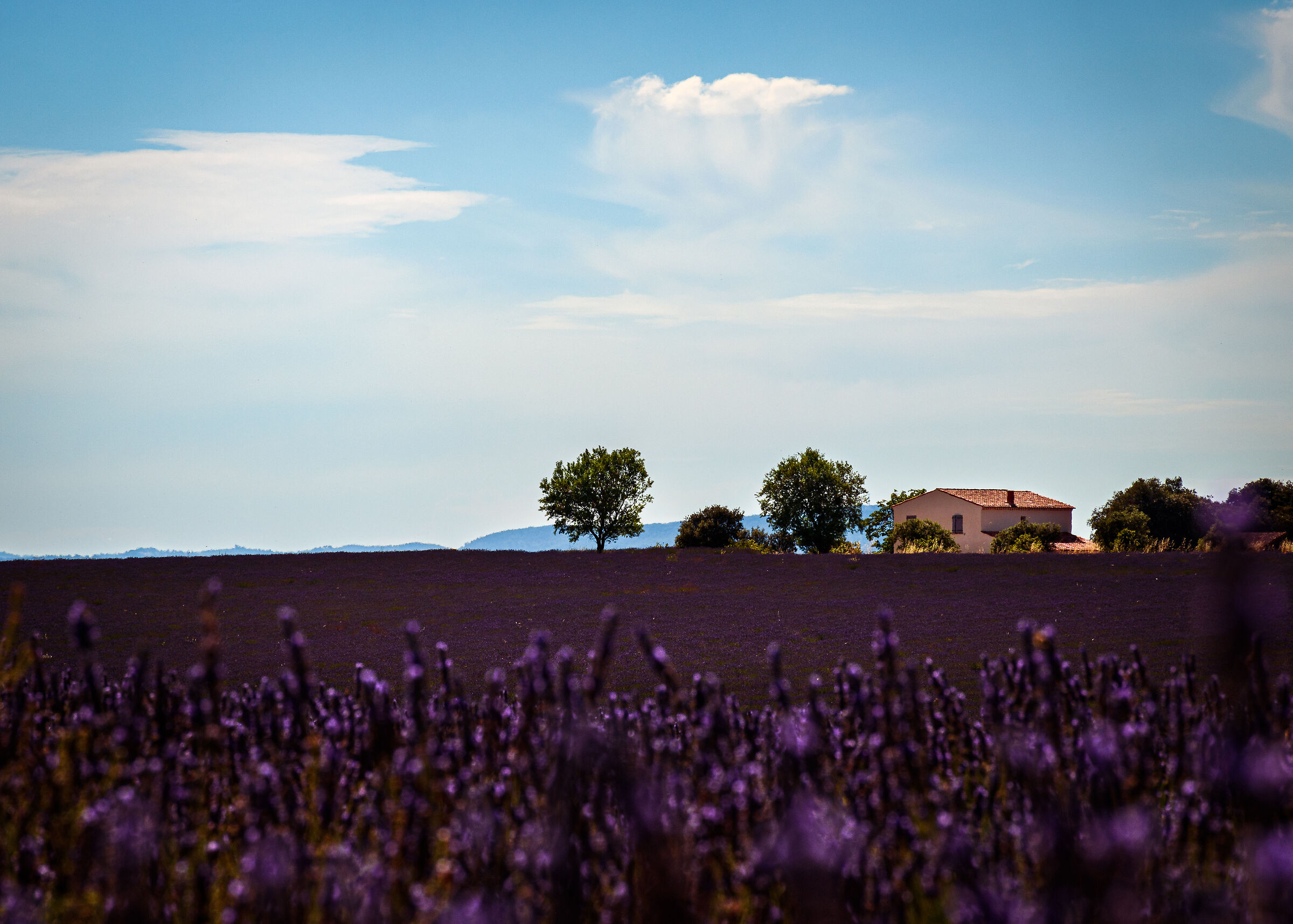 La casa del contadino