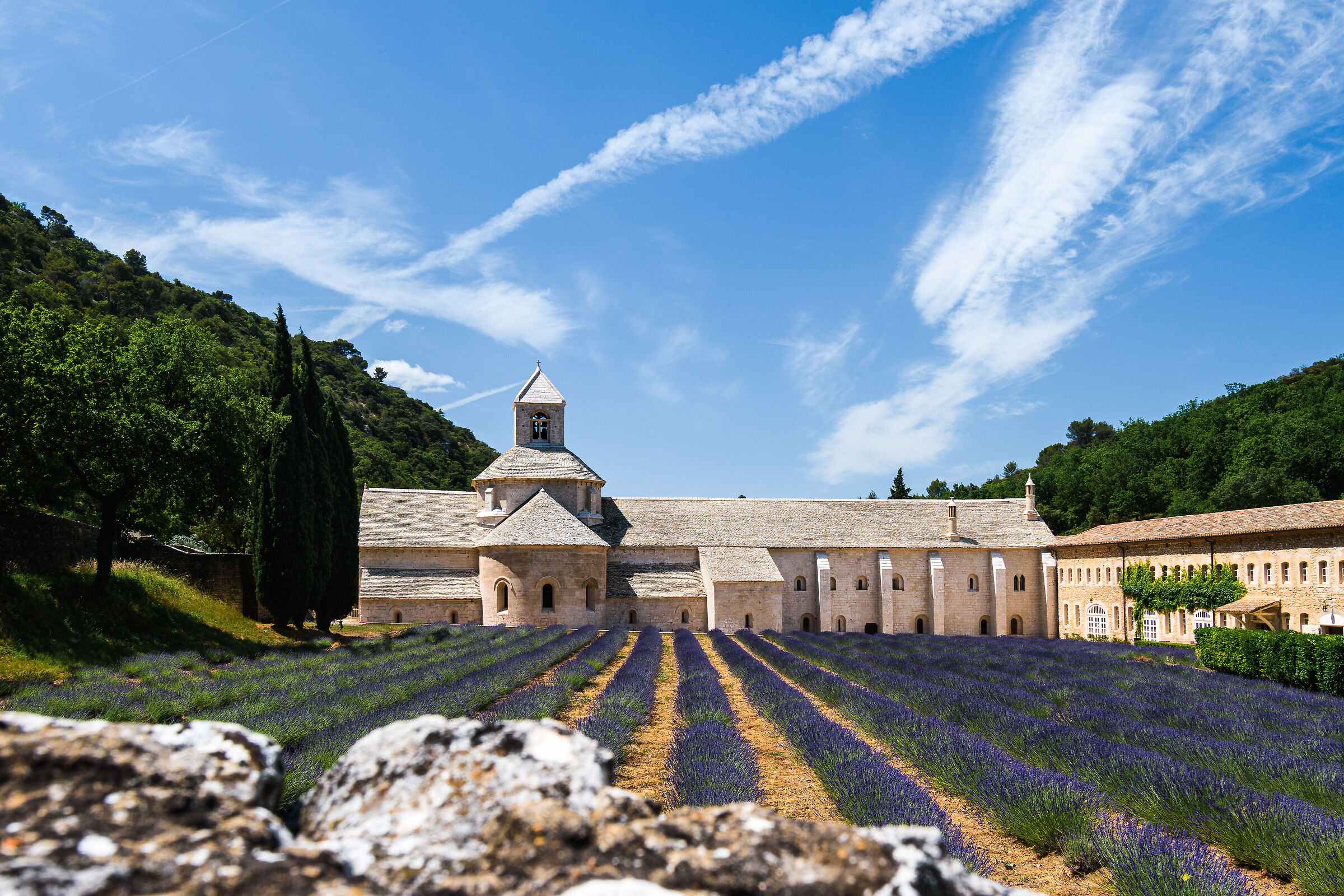 Senanque Abbey